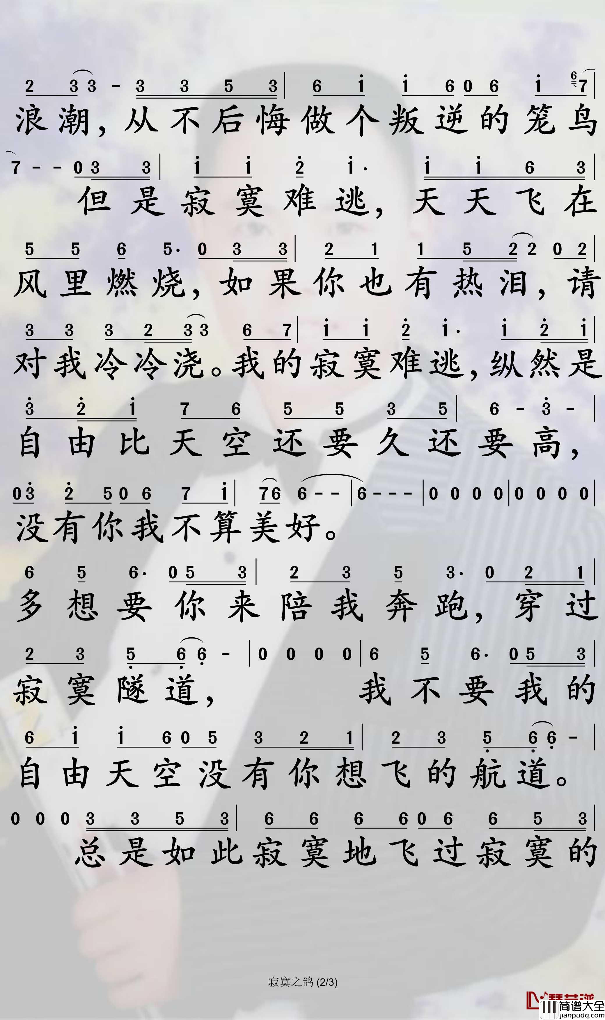 寂寞之鸽简谱_王杰歌曲_孙世彦曲谱