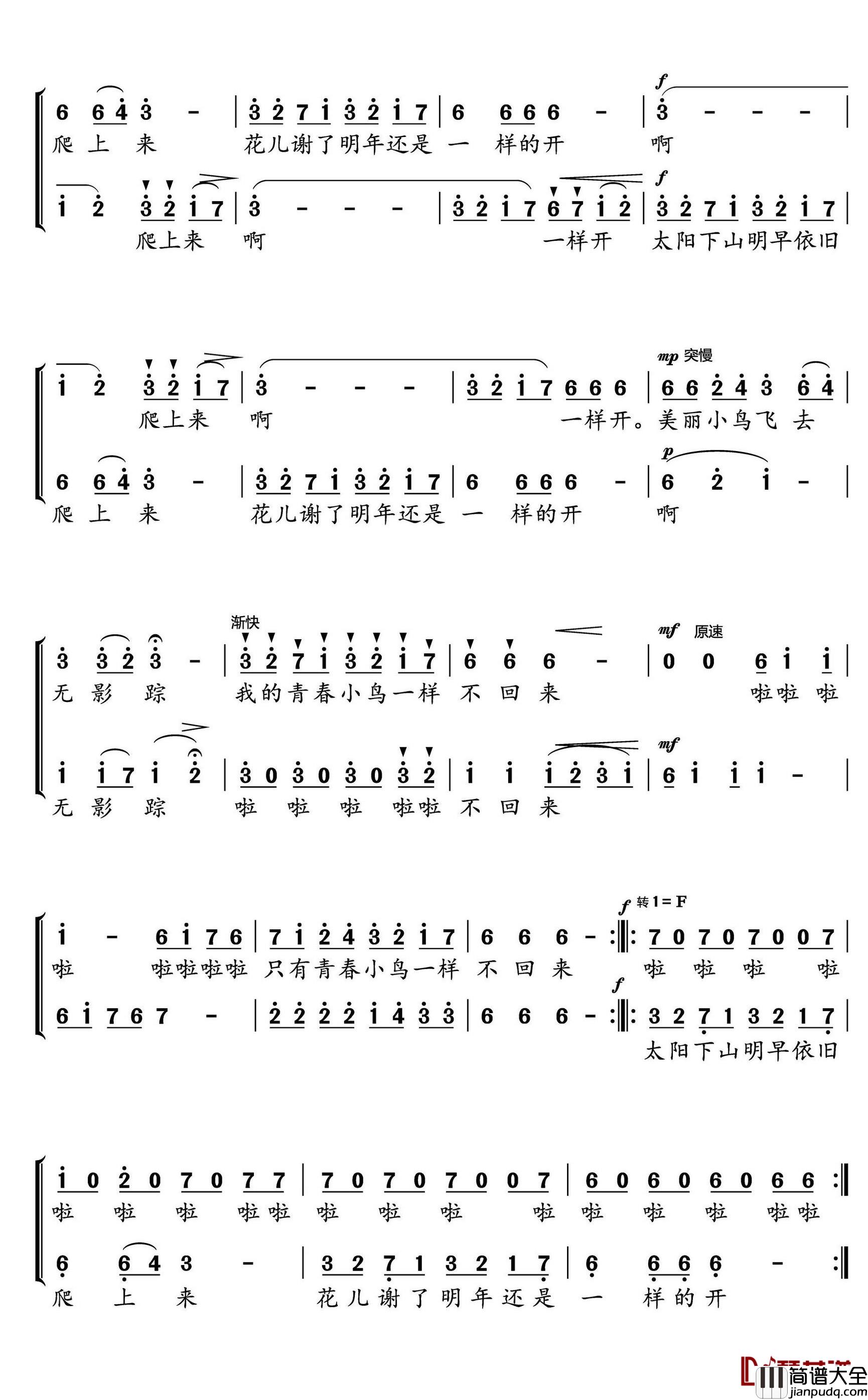 青春舞曲简谱(歌词)_水鑫曲谱