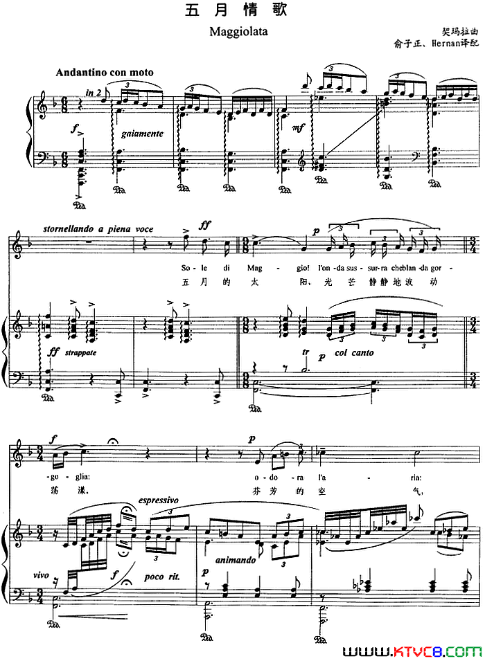 五月情歌_正谱简谱