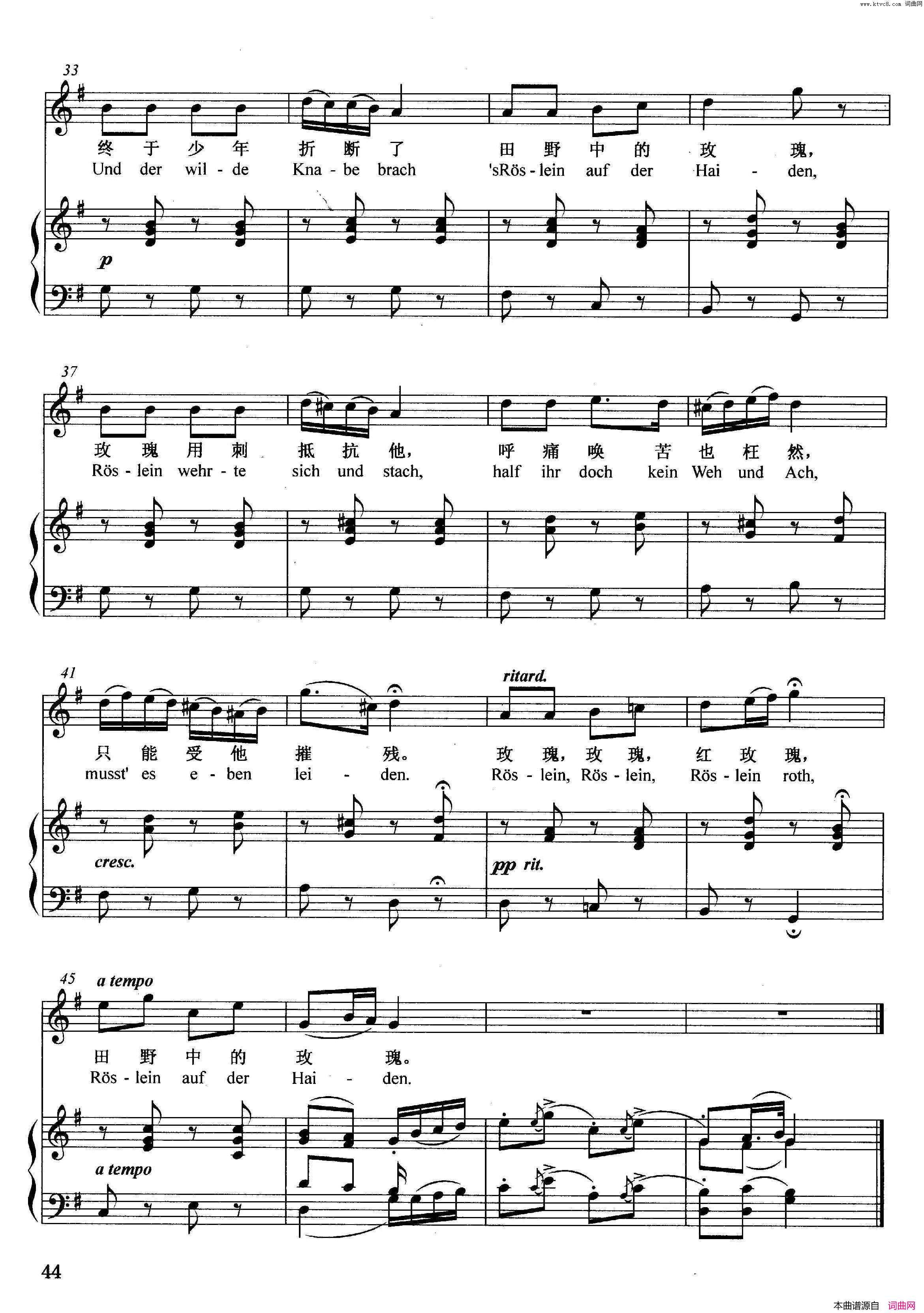 [奥]夜玫瑰正谱简谱