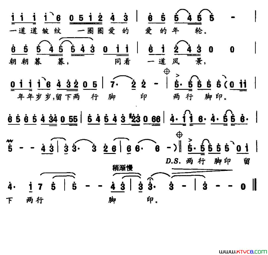 爱的年轮简谱