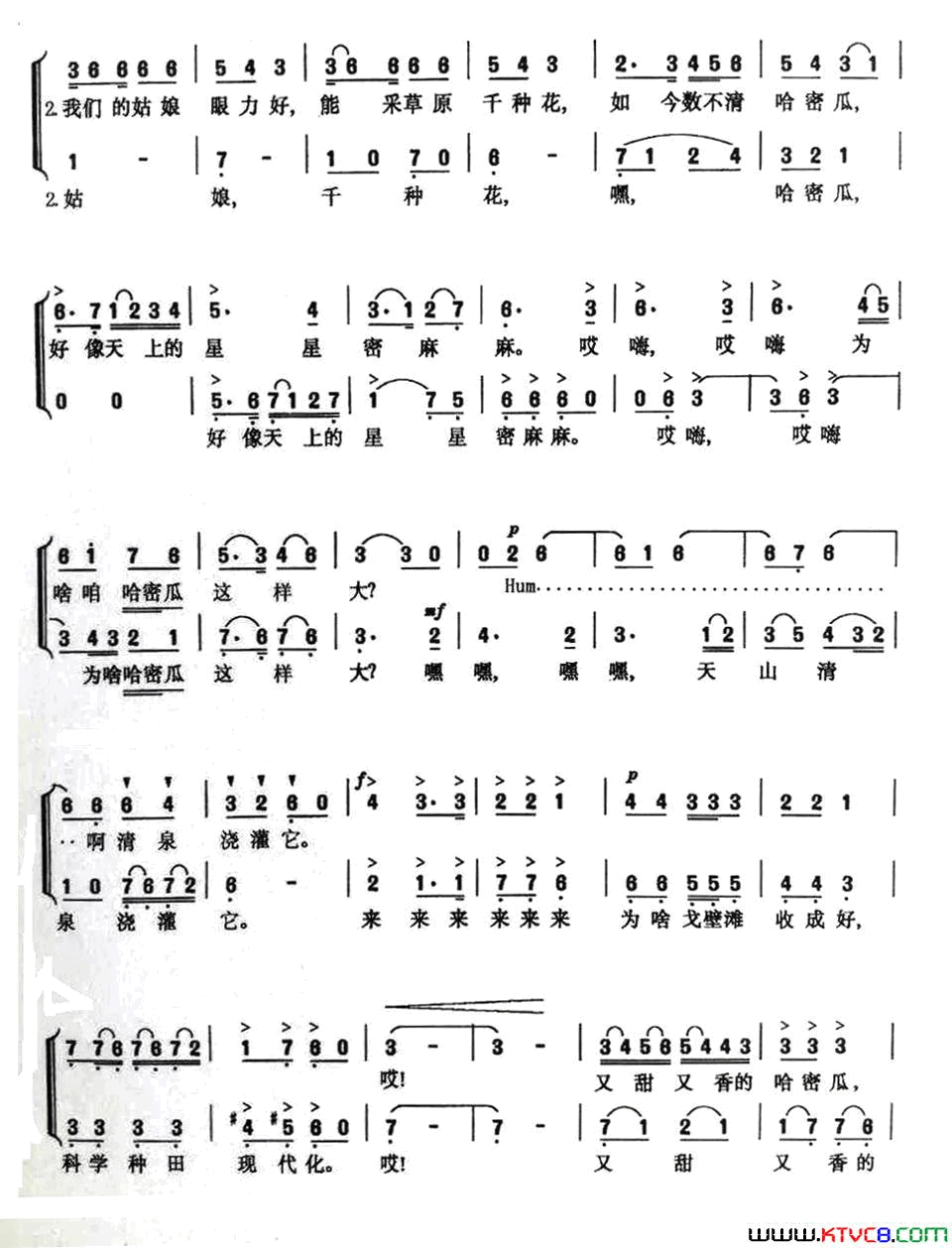 哈密瓜熟了二声部合唱或二重唱简谱