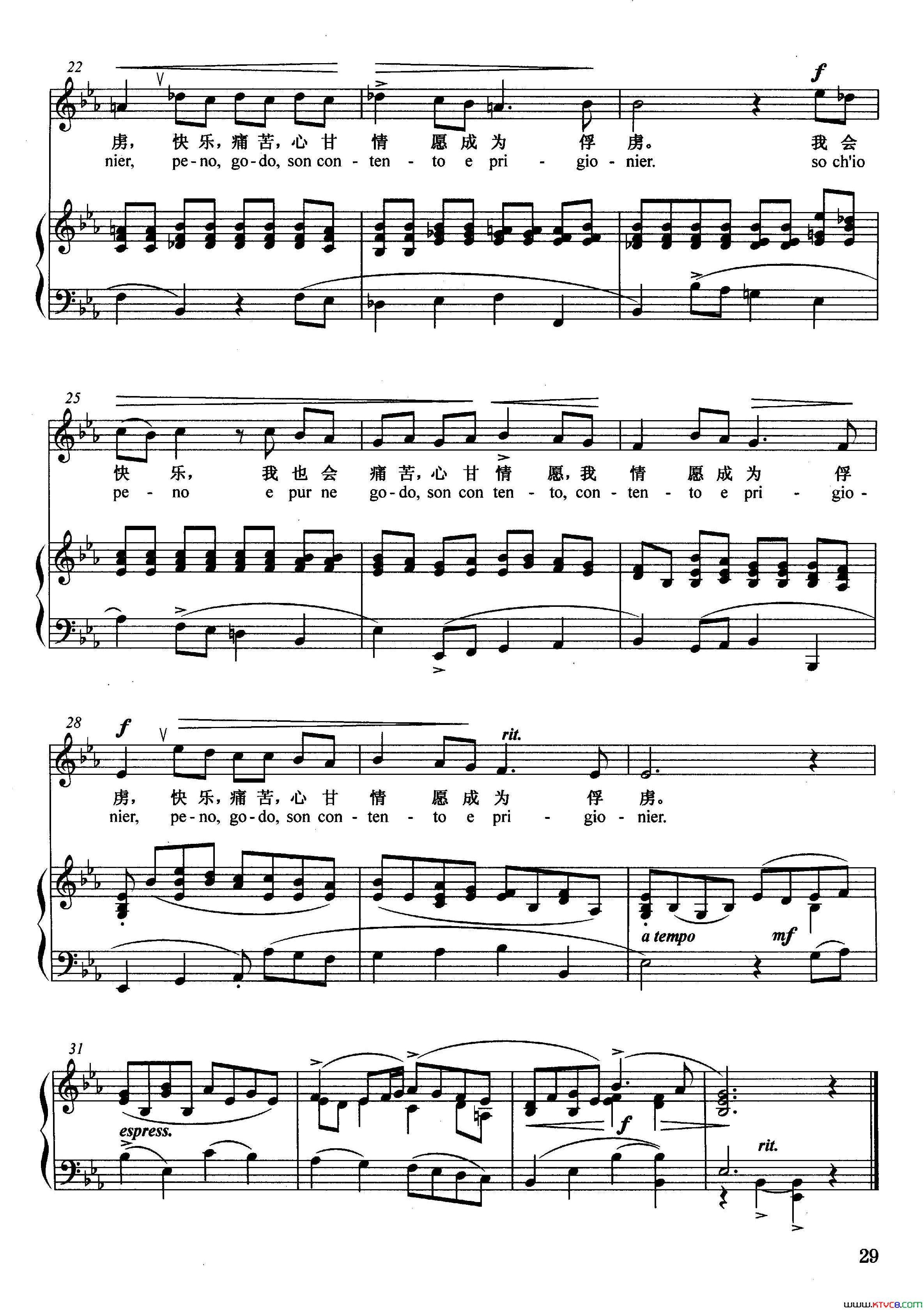 可爱的圈套正谱简谱