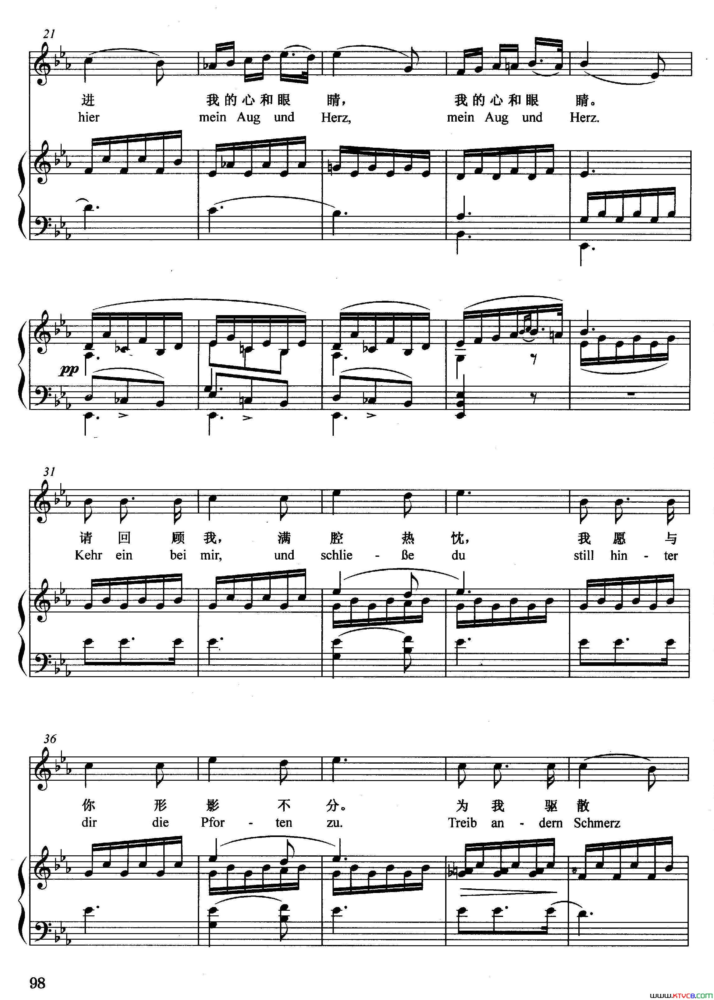 你是安宁正谱简谱