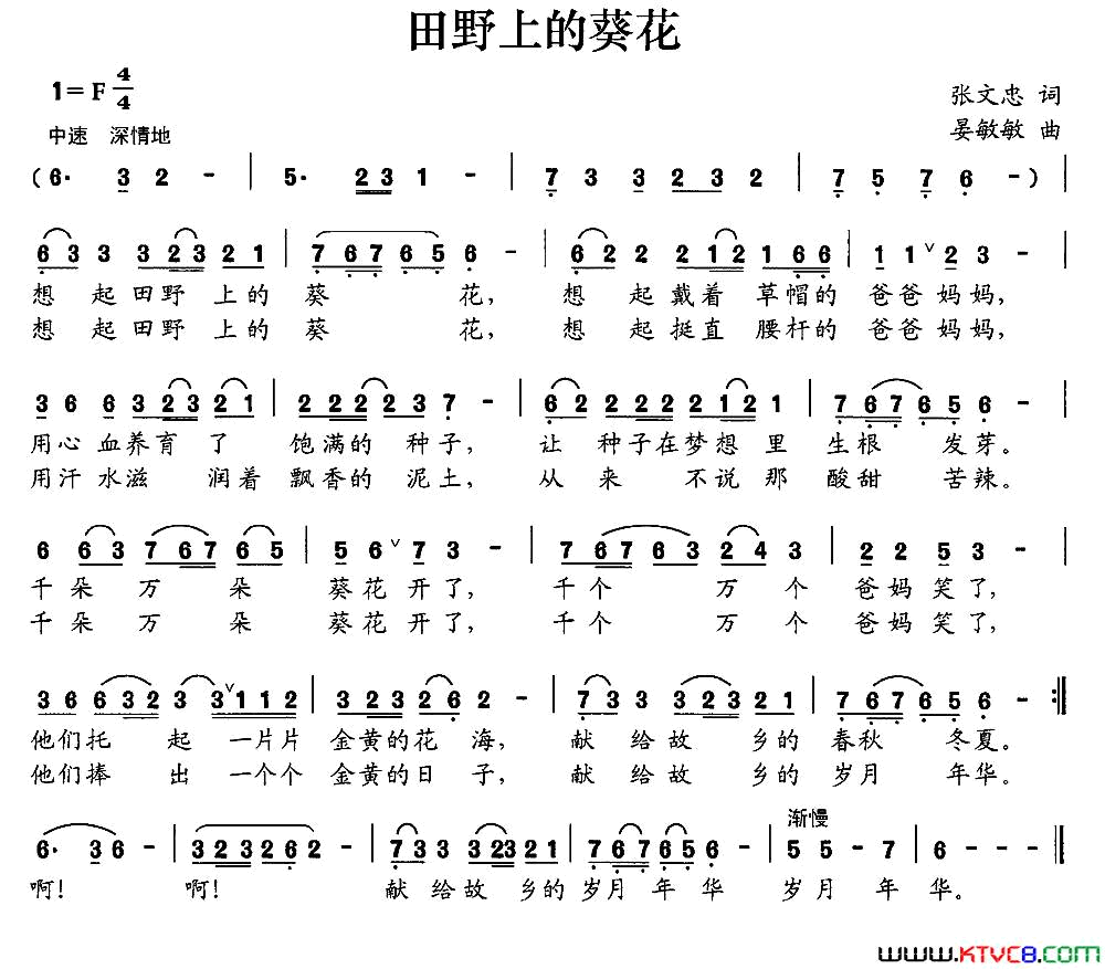 田野上的葵花简谱