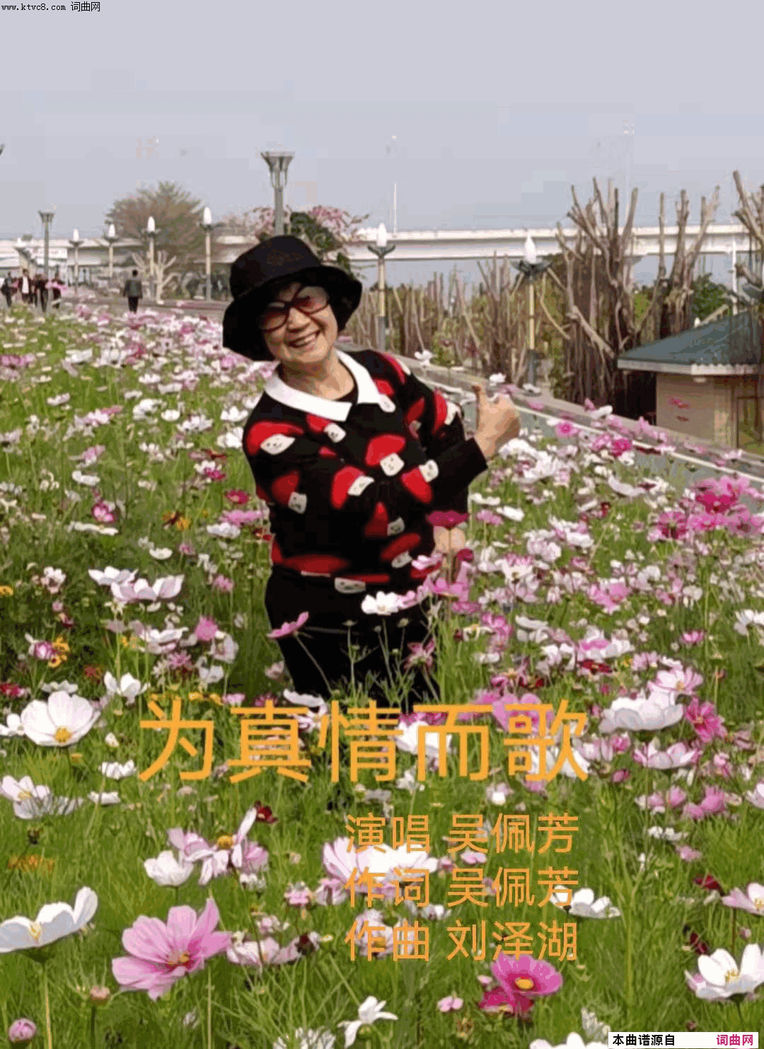 为真情而歌简谱_吴佩芳演唱_刘泽湖曲谱