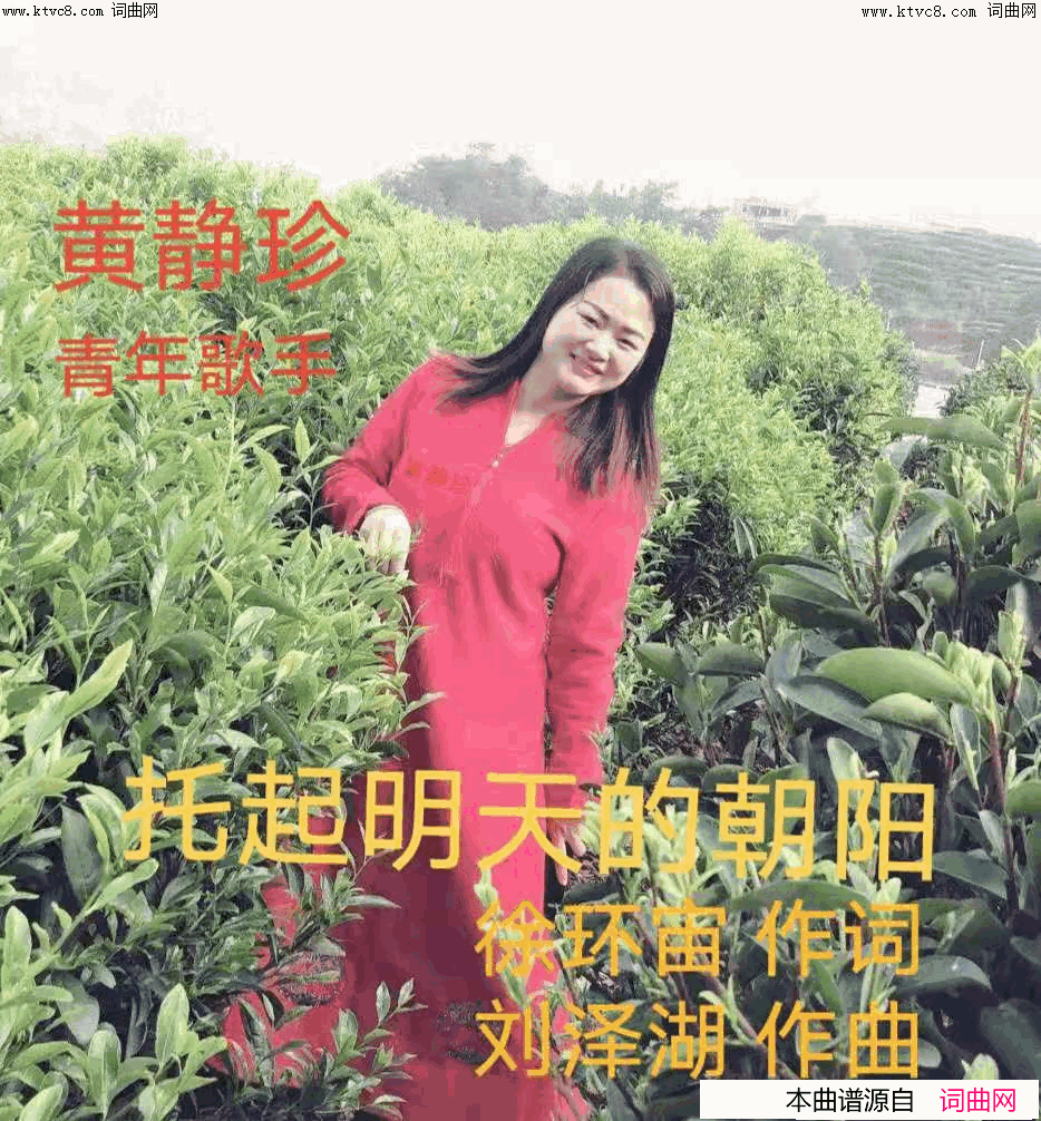 托起明天的朝阳简谱_黄静珍演唱_刘泽湖曲谱