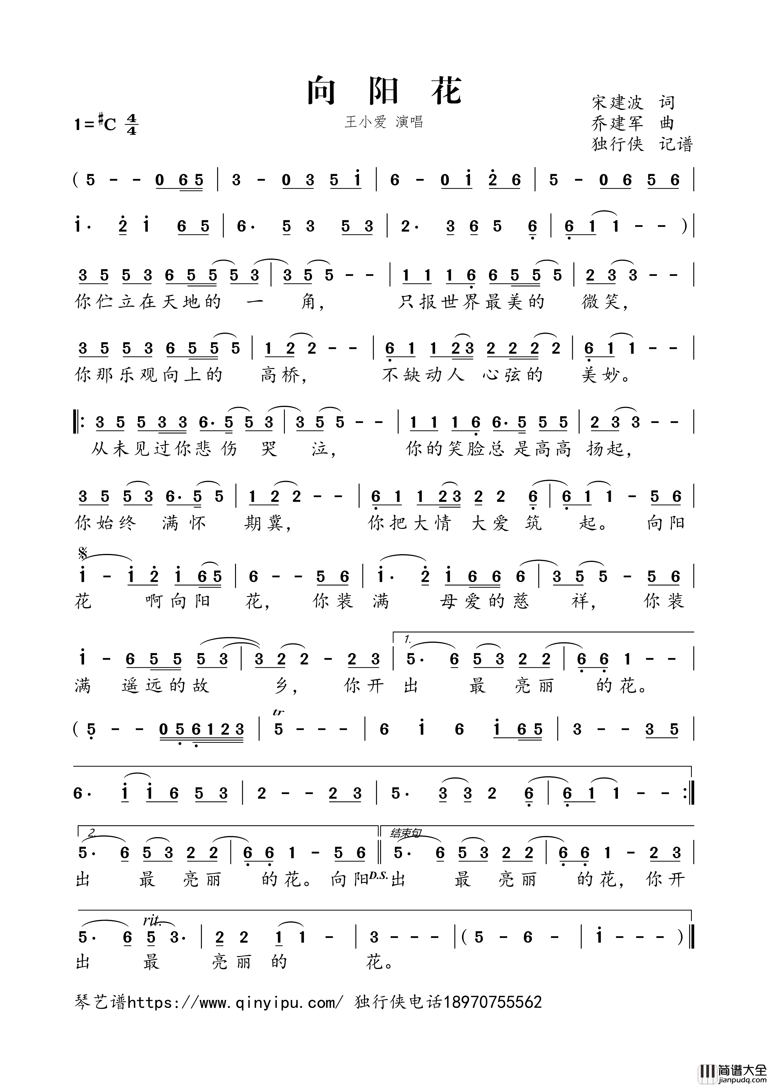 向阳花简谱歌词_王小爱演唱