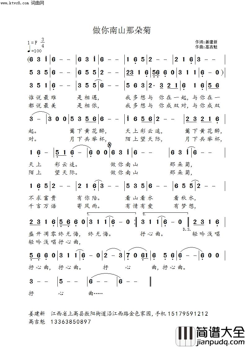 做你南山那朵菊简谱