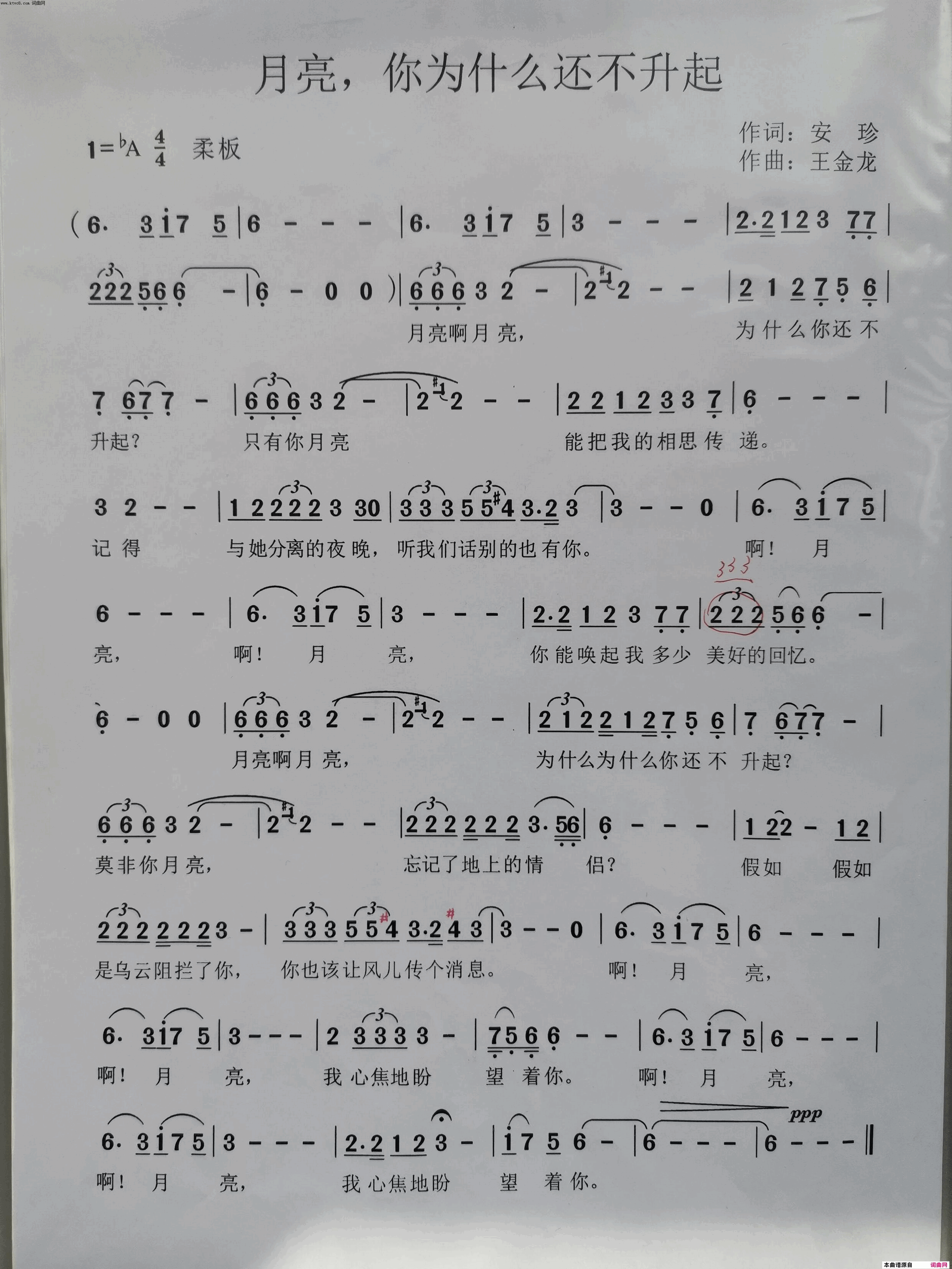 月亮啊！你为么还不升起？简谱