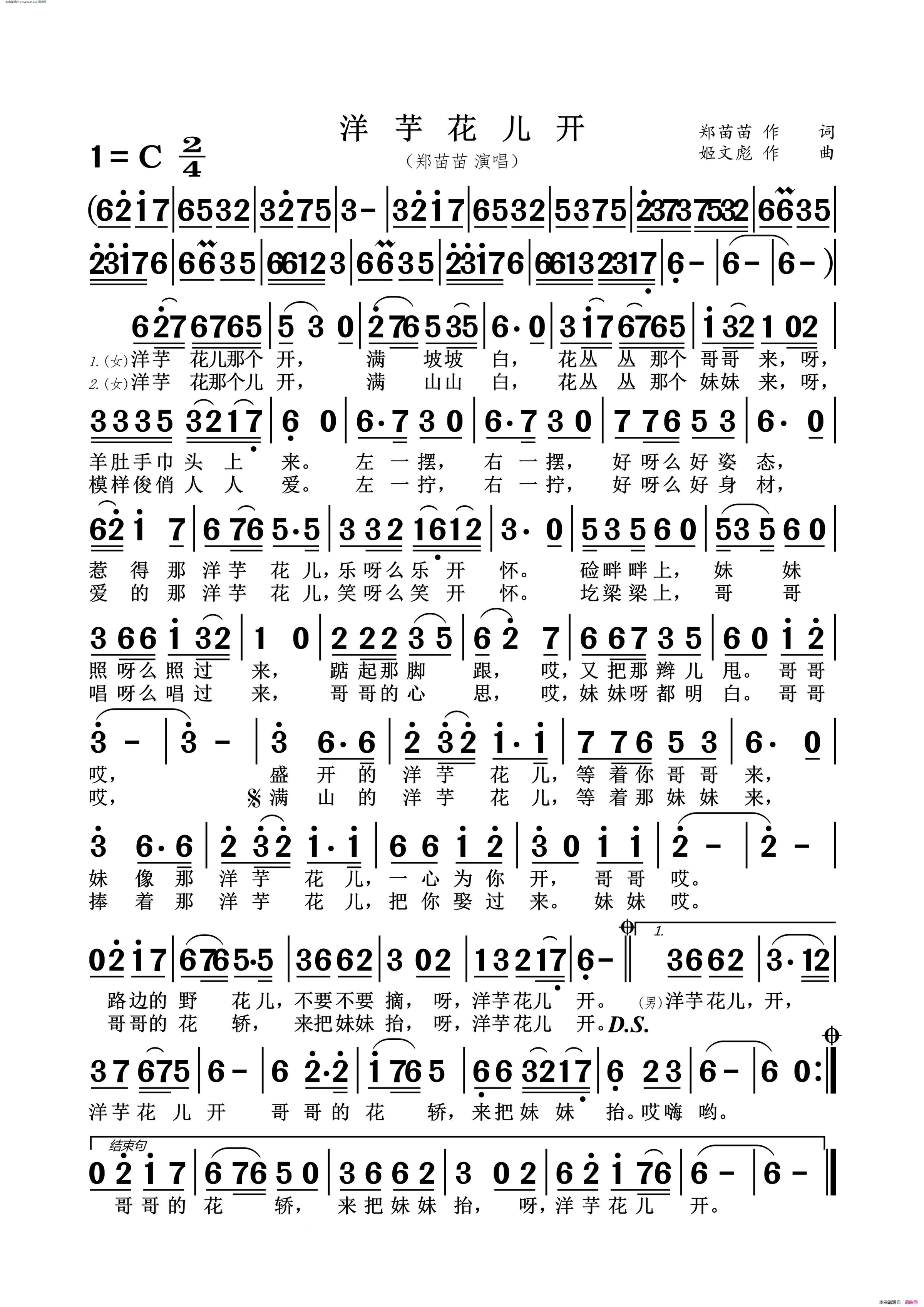 洋芋花儿开简谱_郑苗苗演唱_郑苗苗/姬文彪词曲