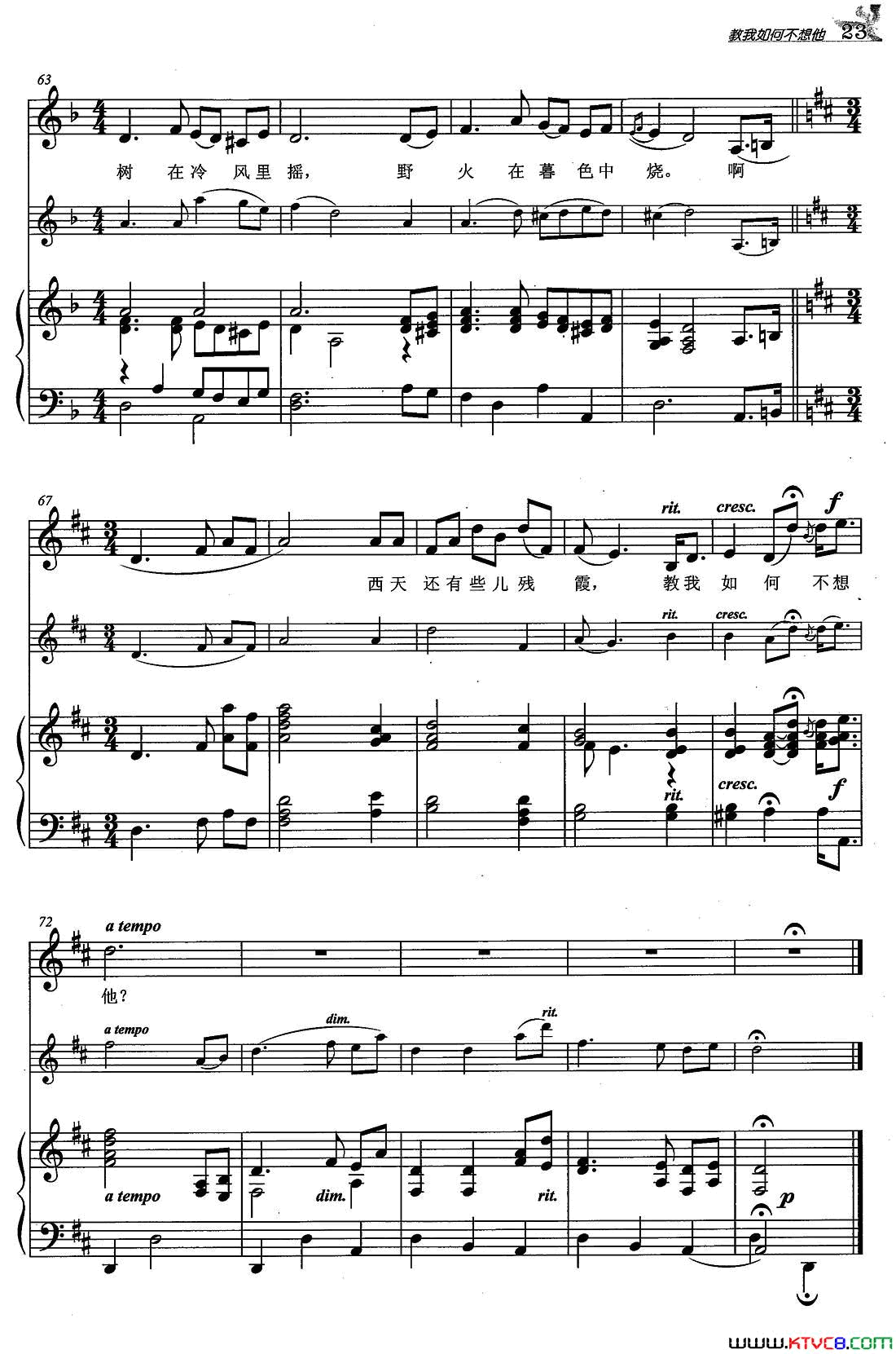 教我如何不想他D调正谱、二声部简谱