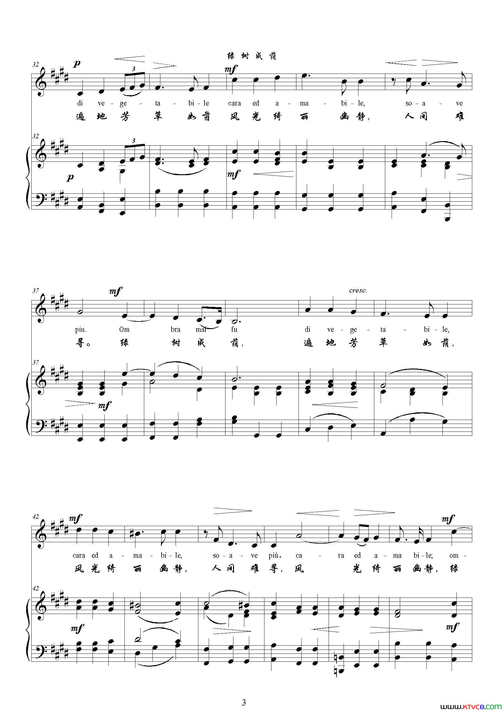 绿树成荫E调正谱简谱