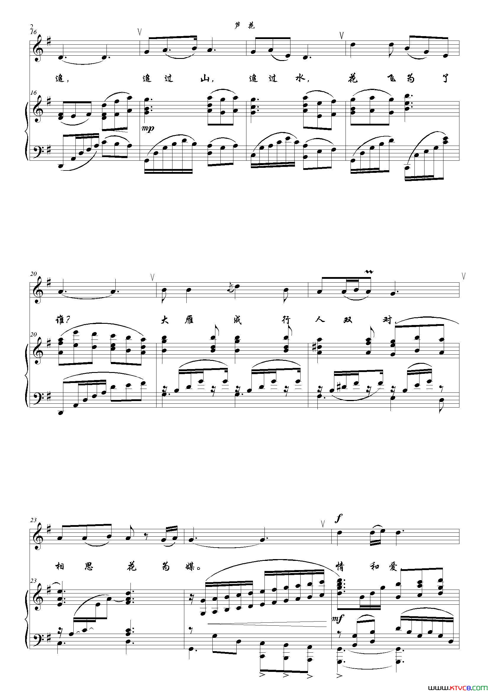 芦花G调正谱简谱