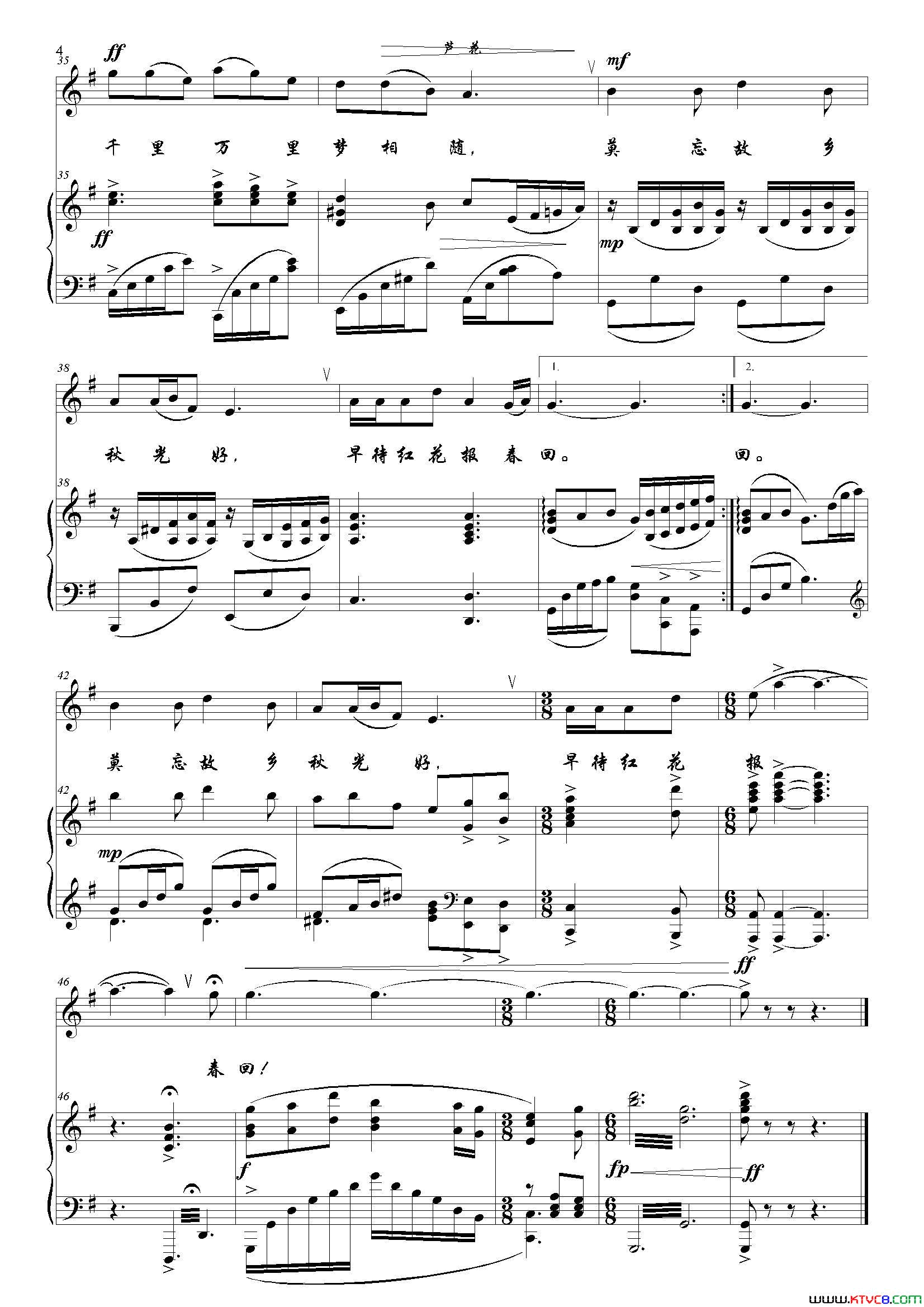 芦花G调正谱简谱