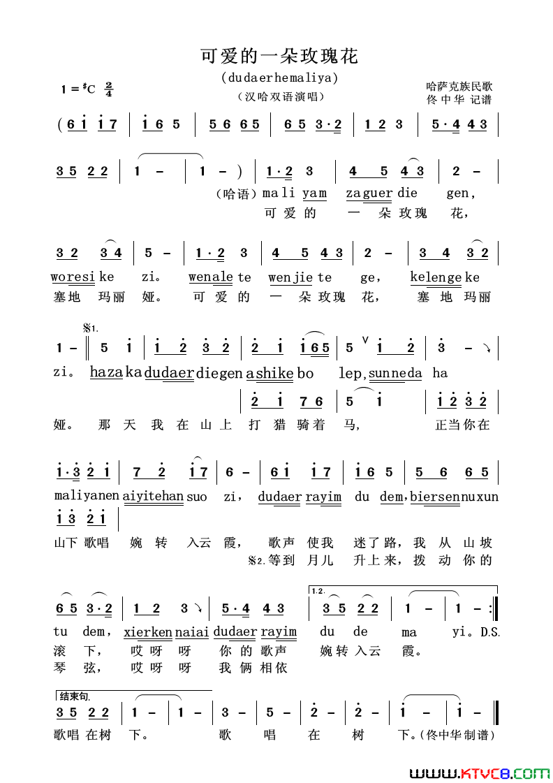 可爱的一朵玫瑰花汉哈双语演唱简谱