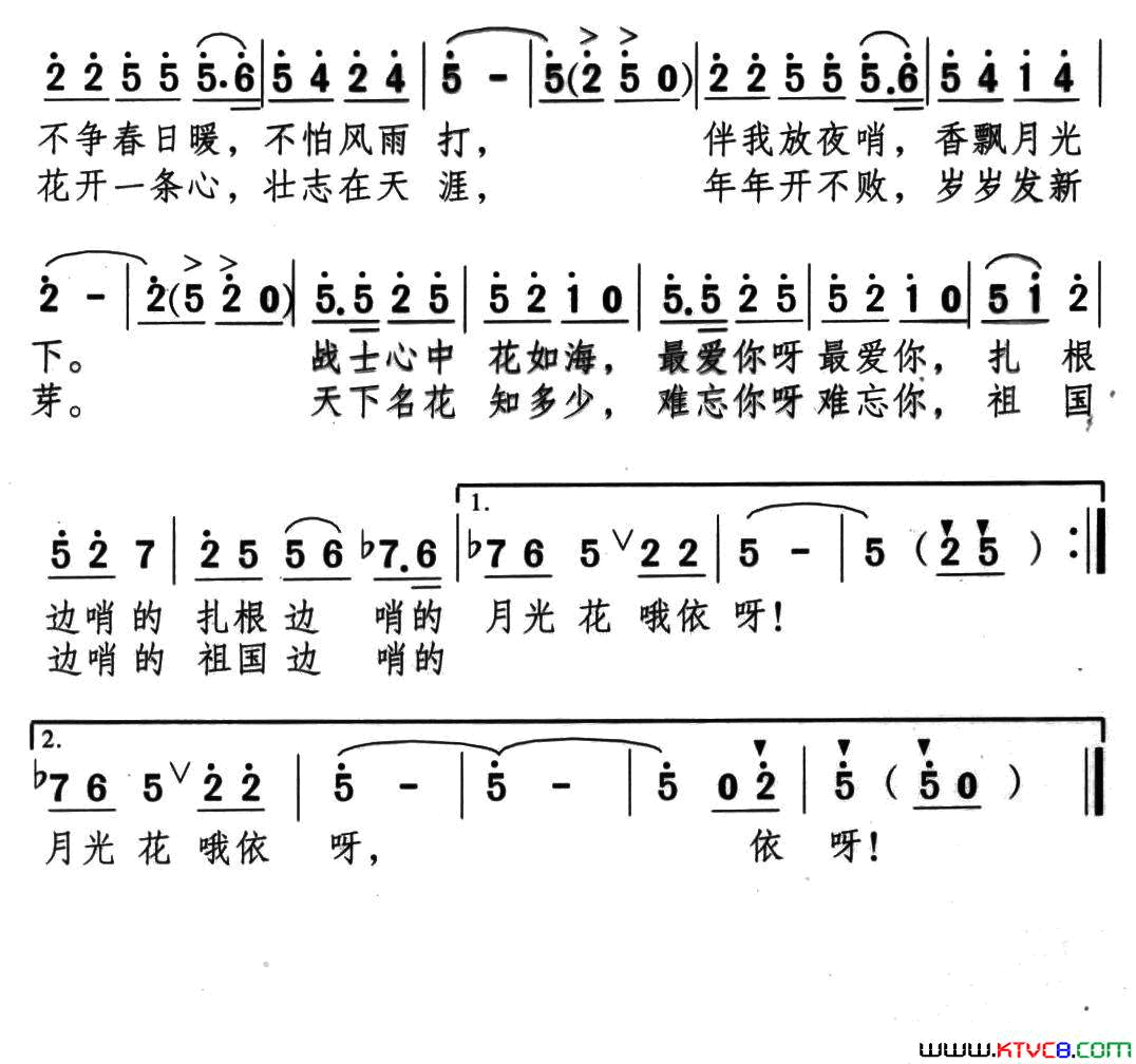 边哨的月光花简谱