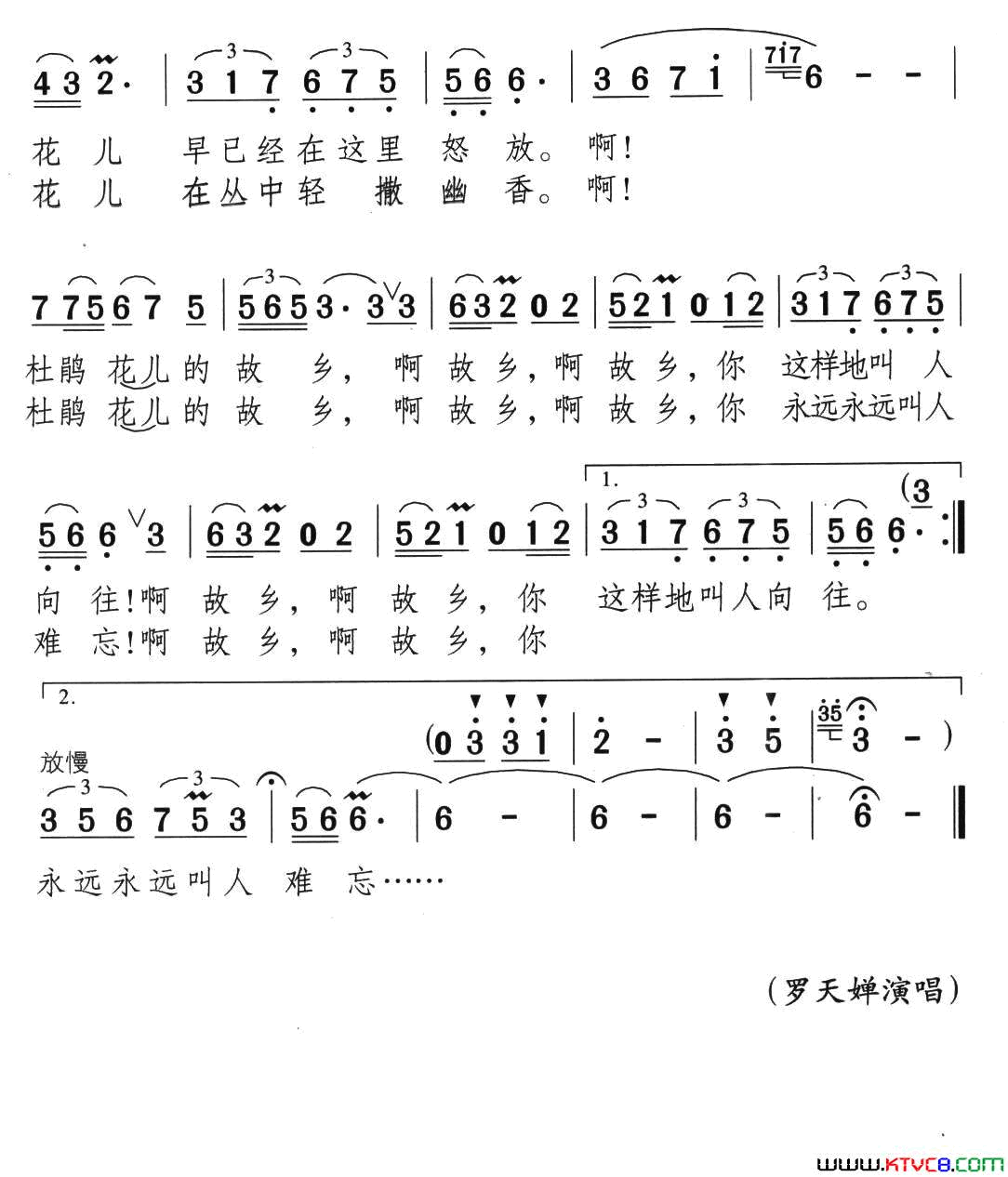 杜鹃花的故乡简谱_罗天婵演唱_颂今/颂今词曲