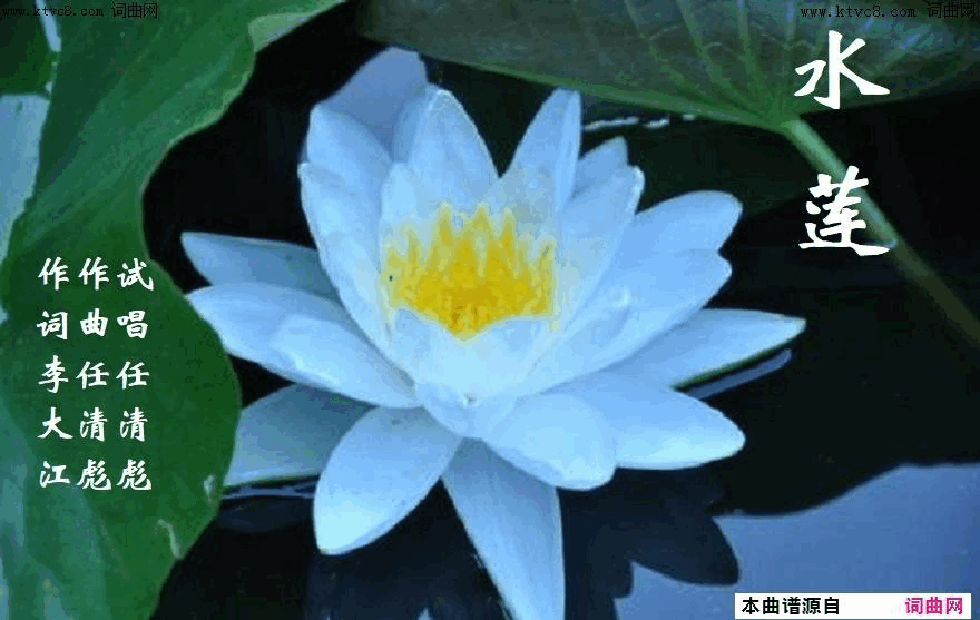 水莲任清彪曲、试唱简谱_任清彪（试唱）演唱_李大江/任清彪词曲