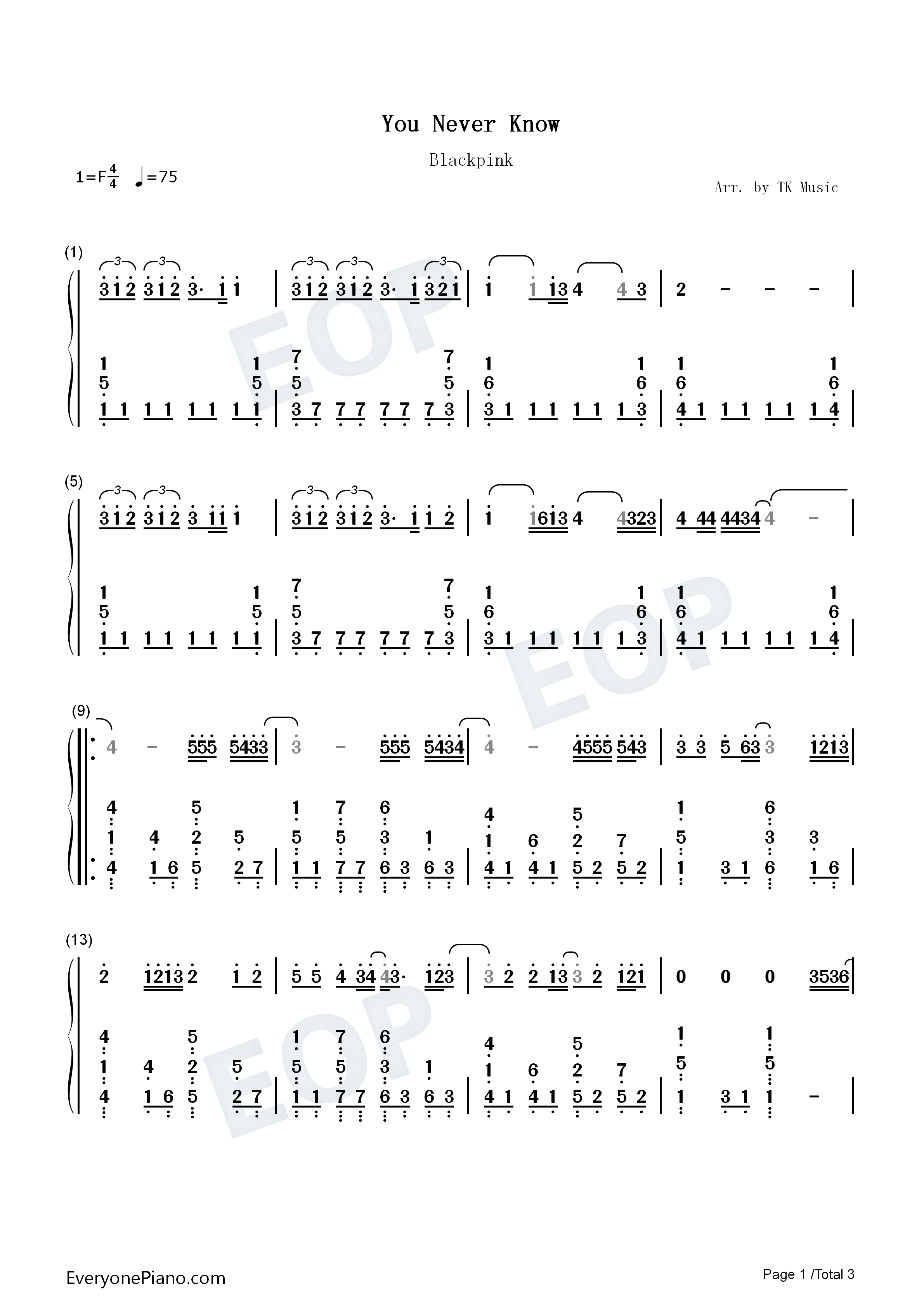 You_Never_Know钢琴简谱_Blackpink演唱