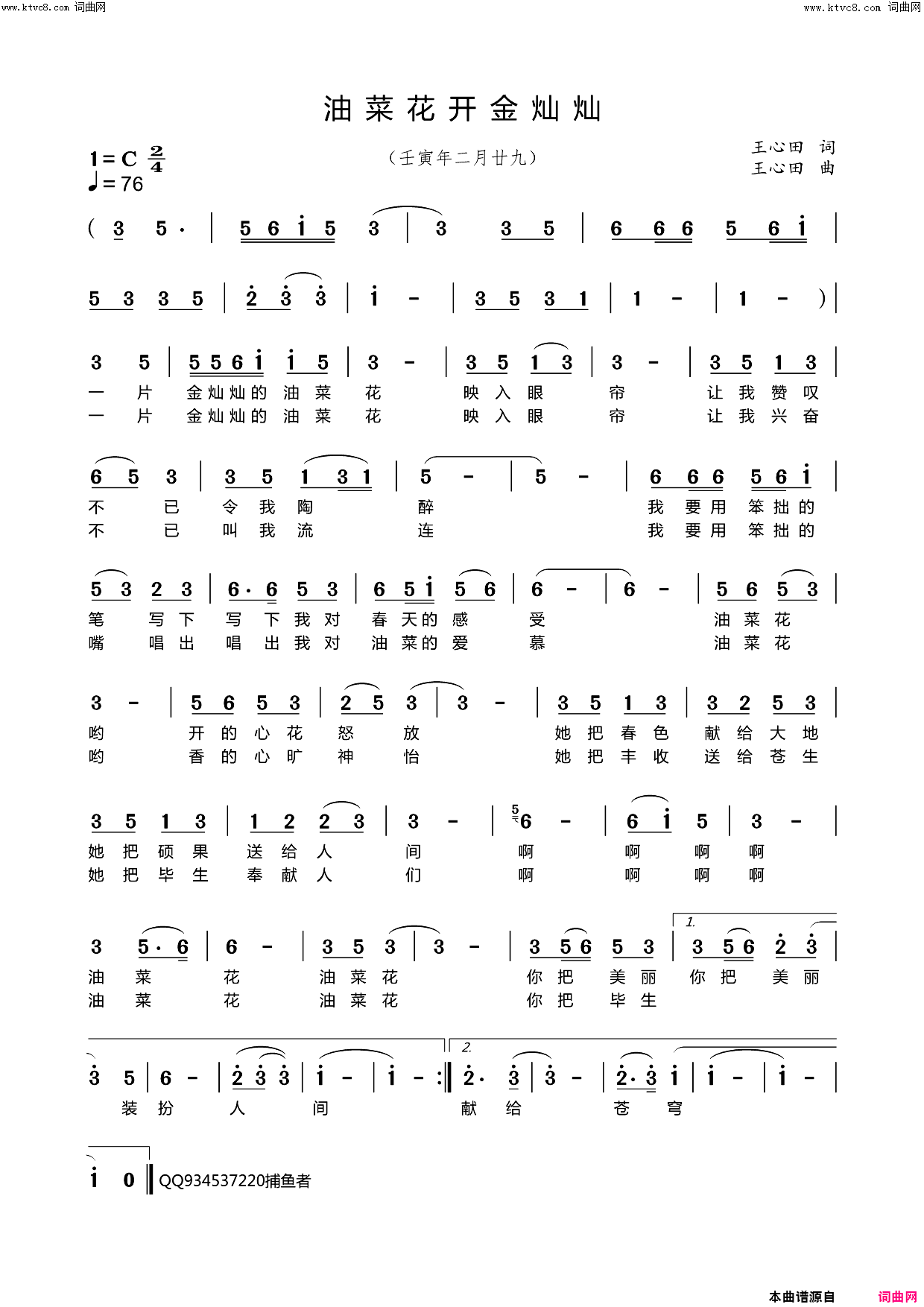 油菜花开金灿灿简谱_王心田曲谱