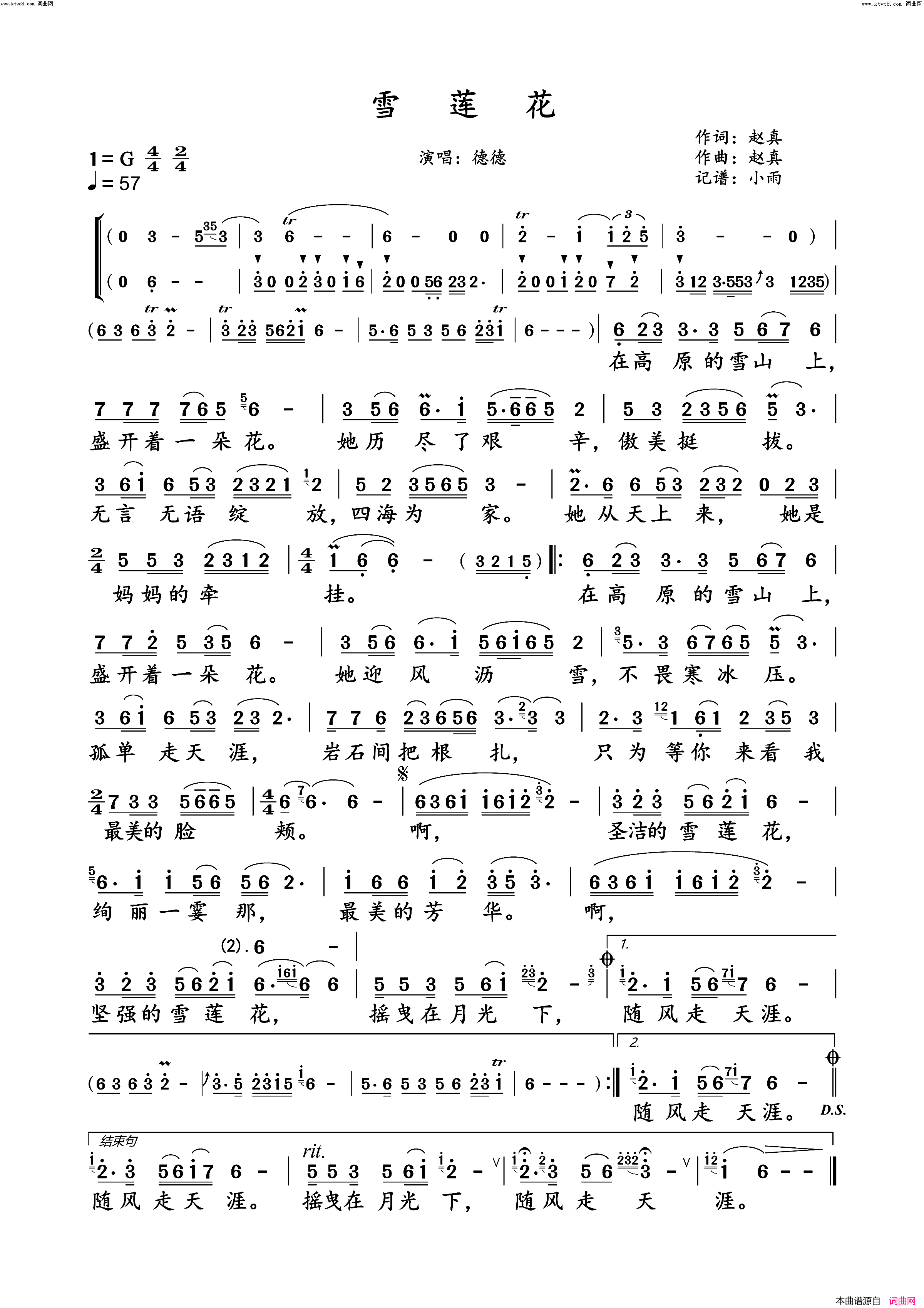 雪莲花(德德演唱版)简谱_德德演唱_小雨曲谱