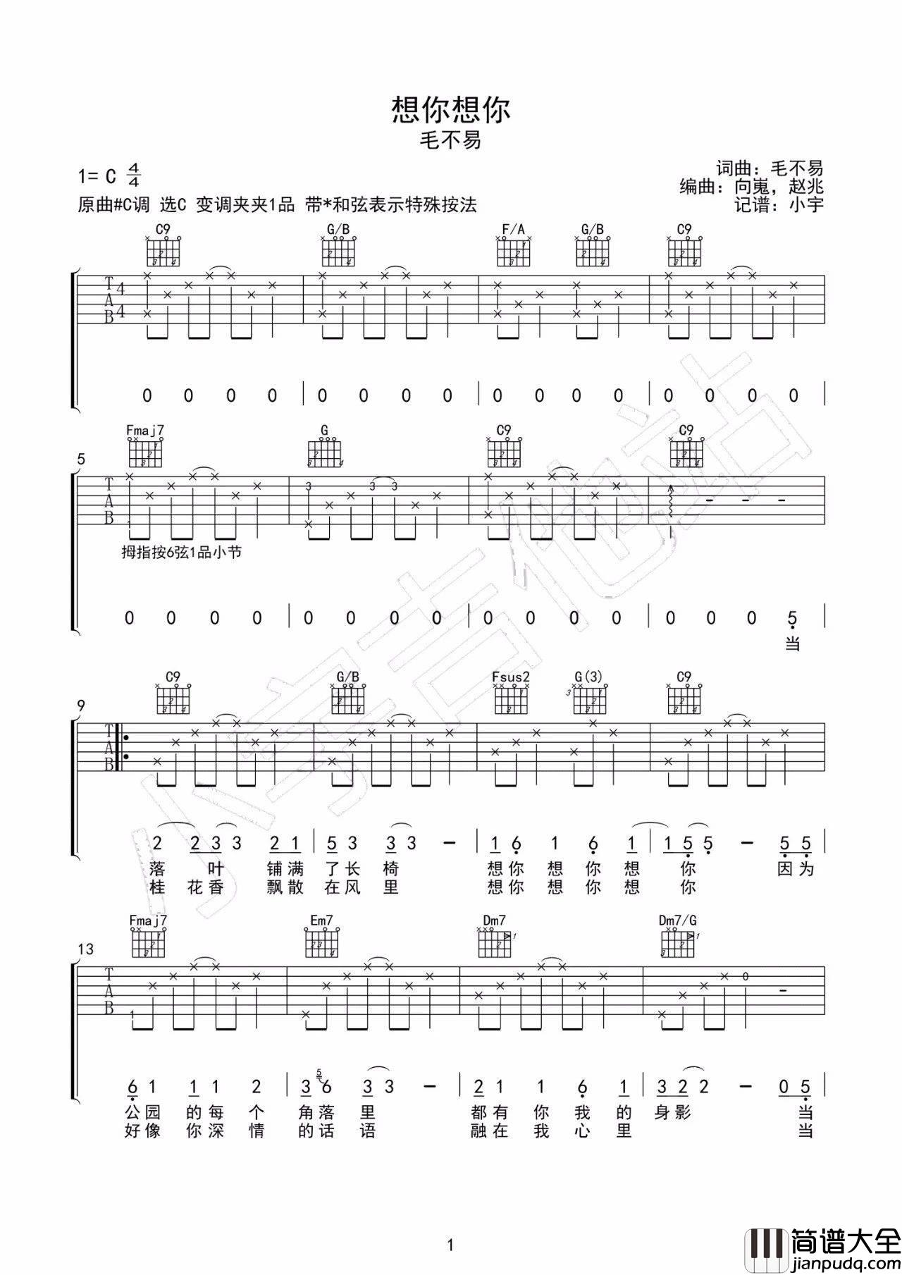 想你想你吉他谱_C调_小宇吉他编配_毛不易