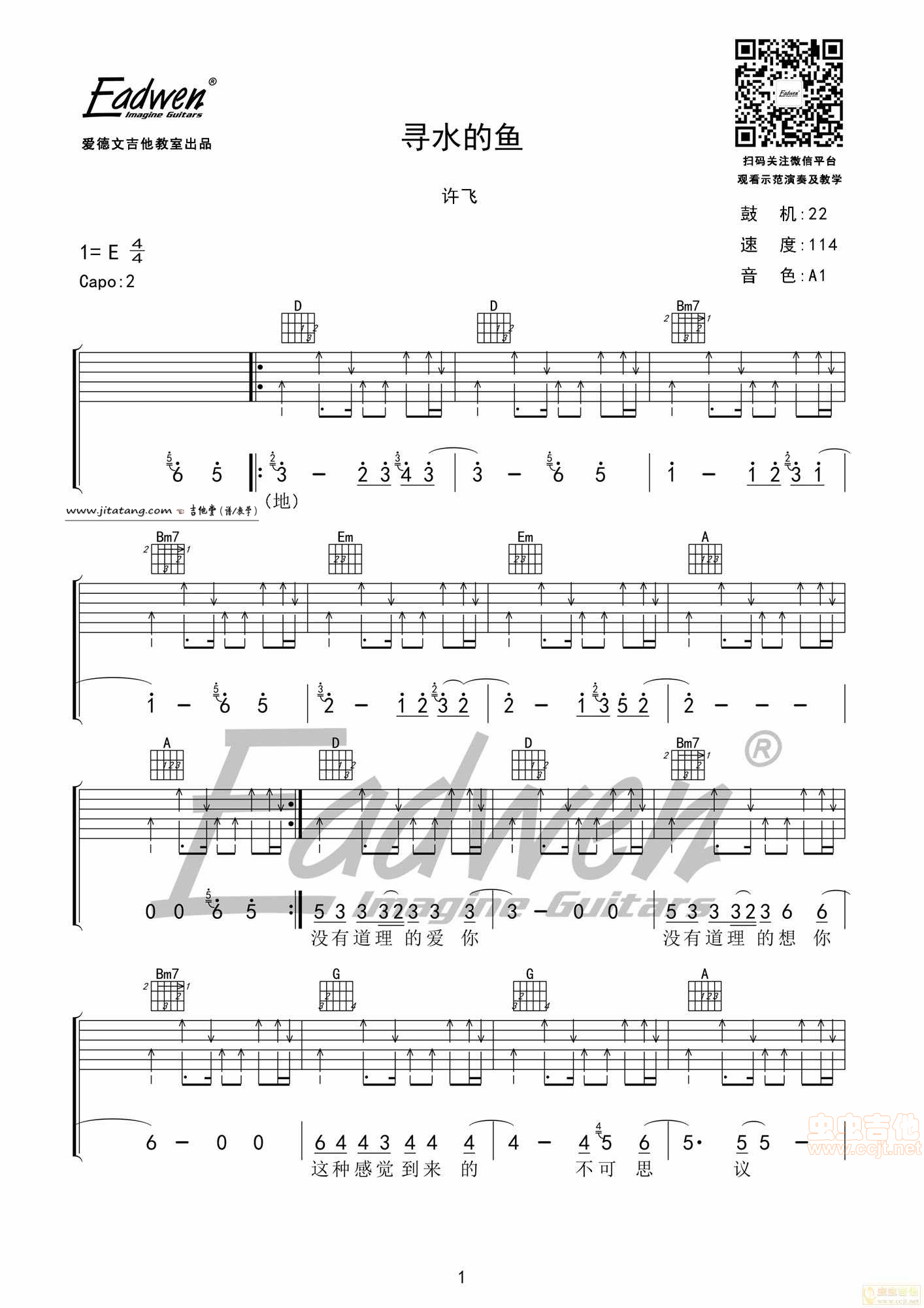 寻水的鱼吉他谱_E调_爱德文吉他编配_许飞