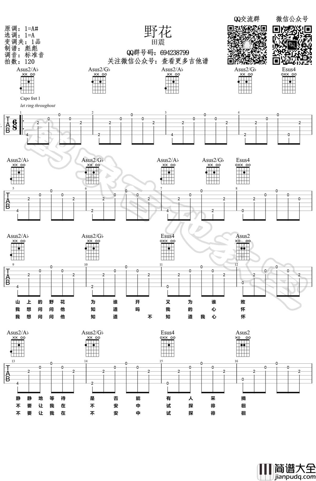 田震_野花_吉他谱_六线谱_A调弹唱谱_吉他教学视频