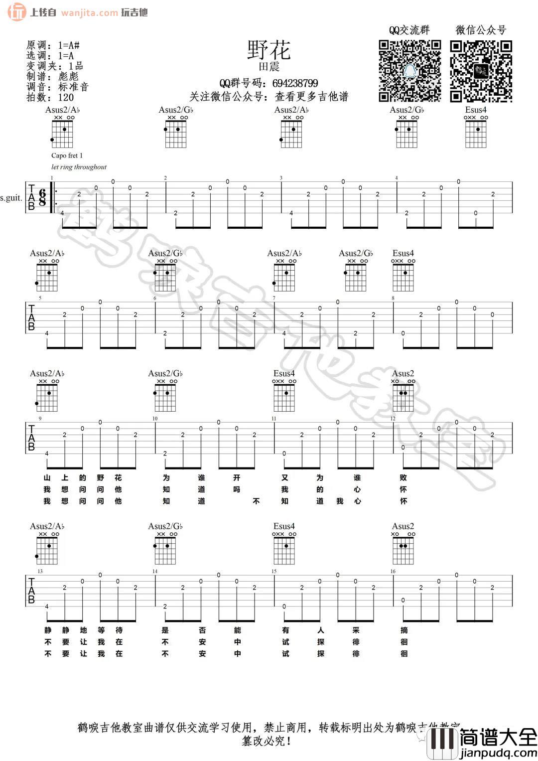 田震_野花_吉他谱_A调弹唱六线谱_原版图片谱_田震