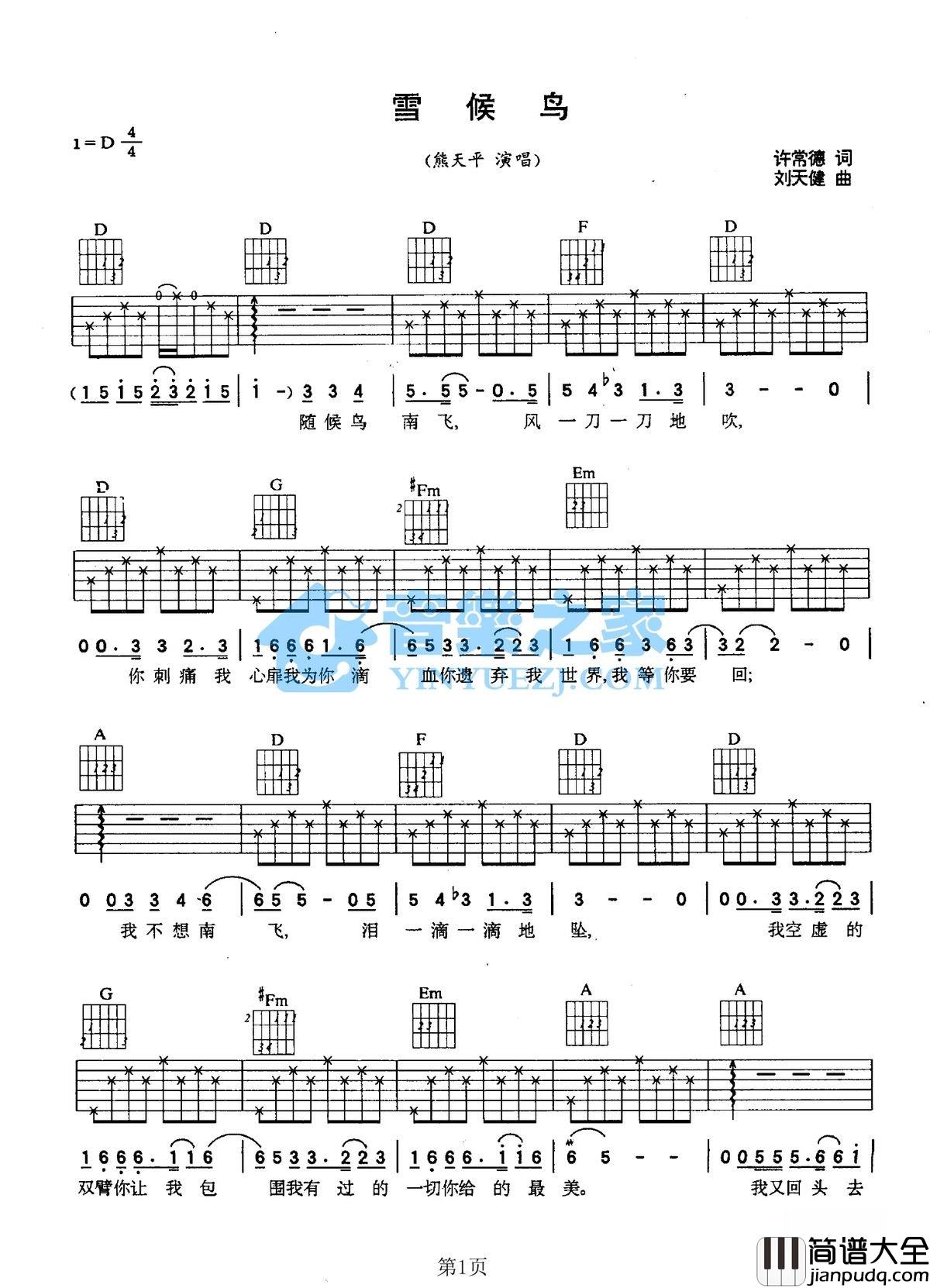 雪候鸟吉他谱_D调六线谱_音乐之家编配_熊天平