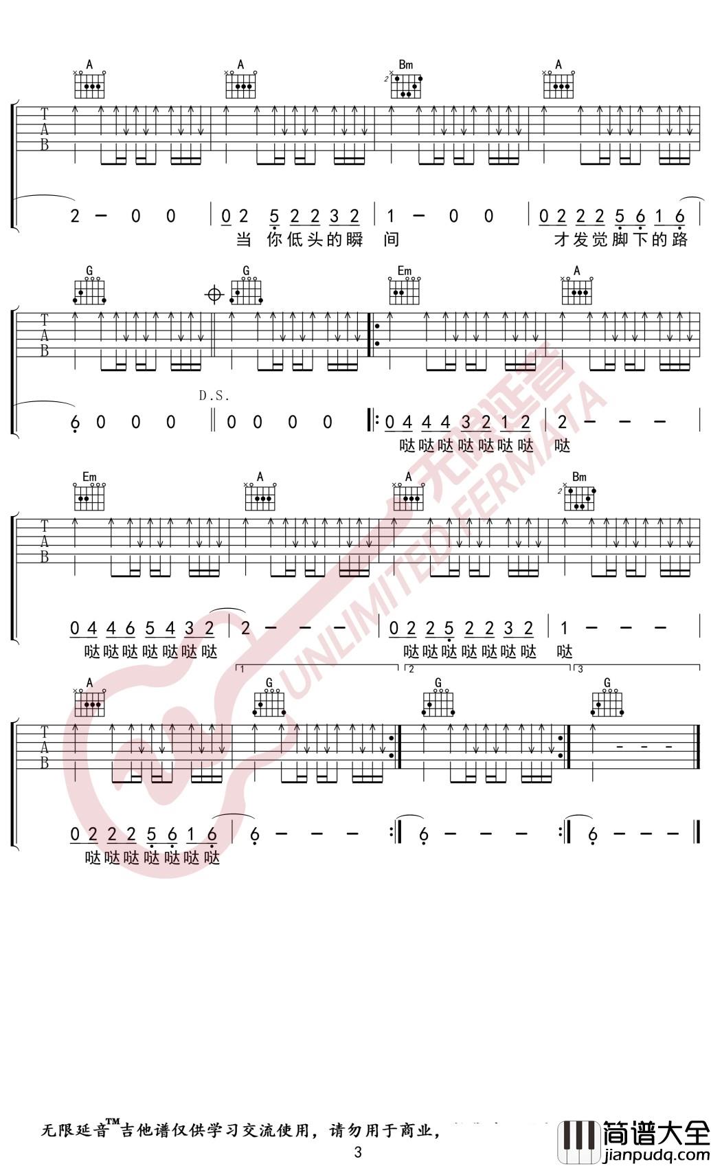 蓝莲花吉他谱_D调_许巍_无限延音编配