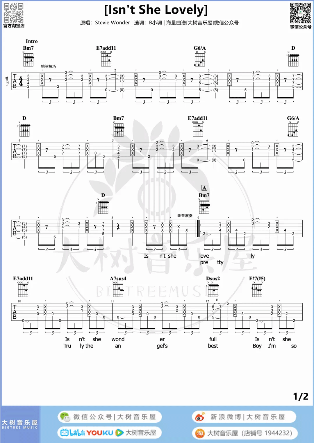 Isn't-She-Lovely吉他谱预览图