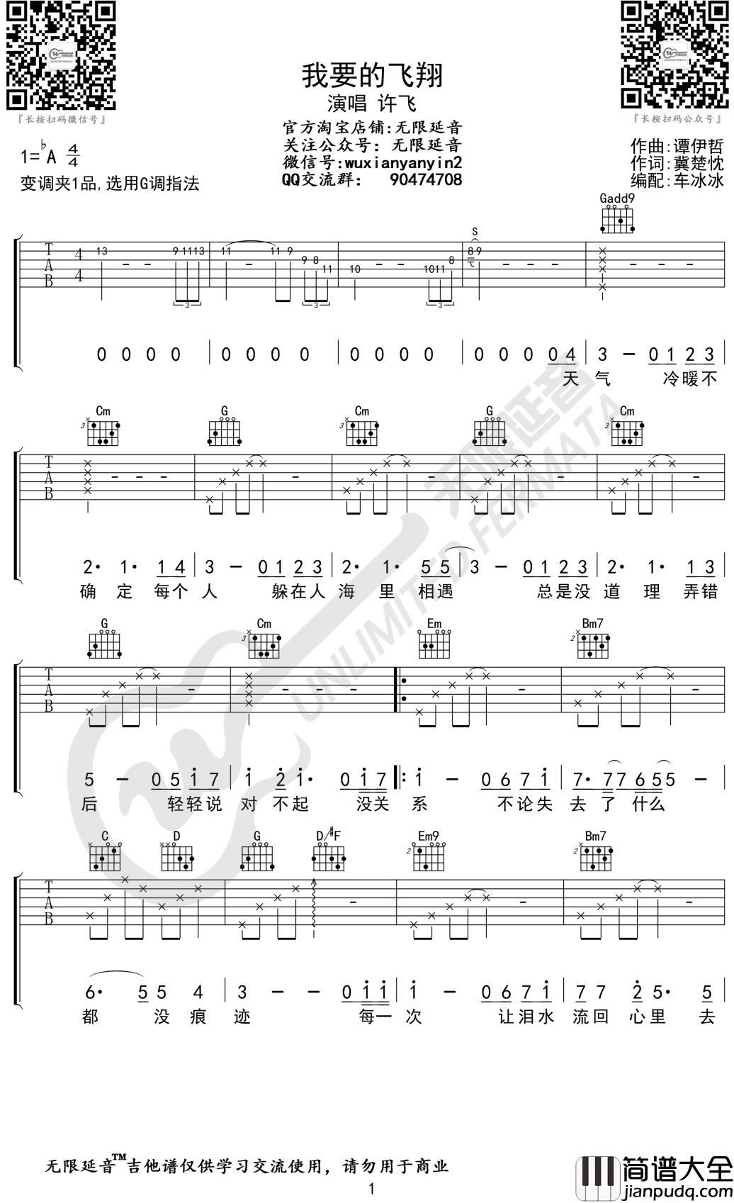我要的飞翔吉他谱_许飞_G调弹唱谱_无限延音编配
