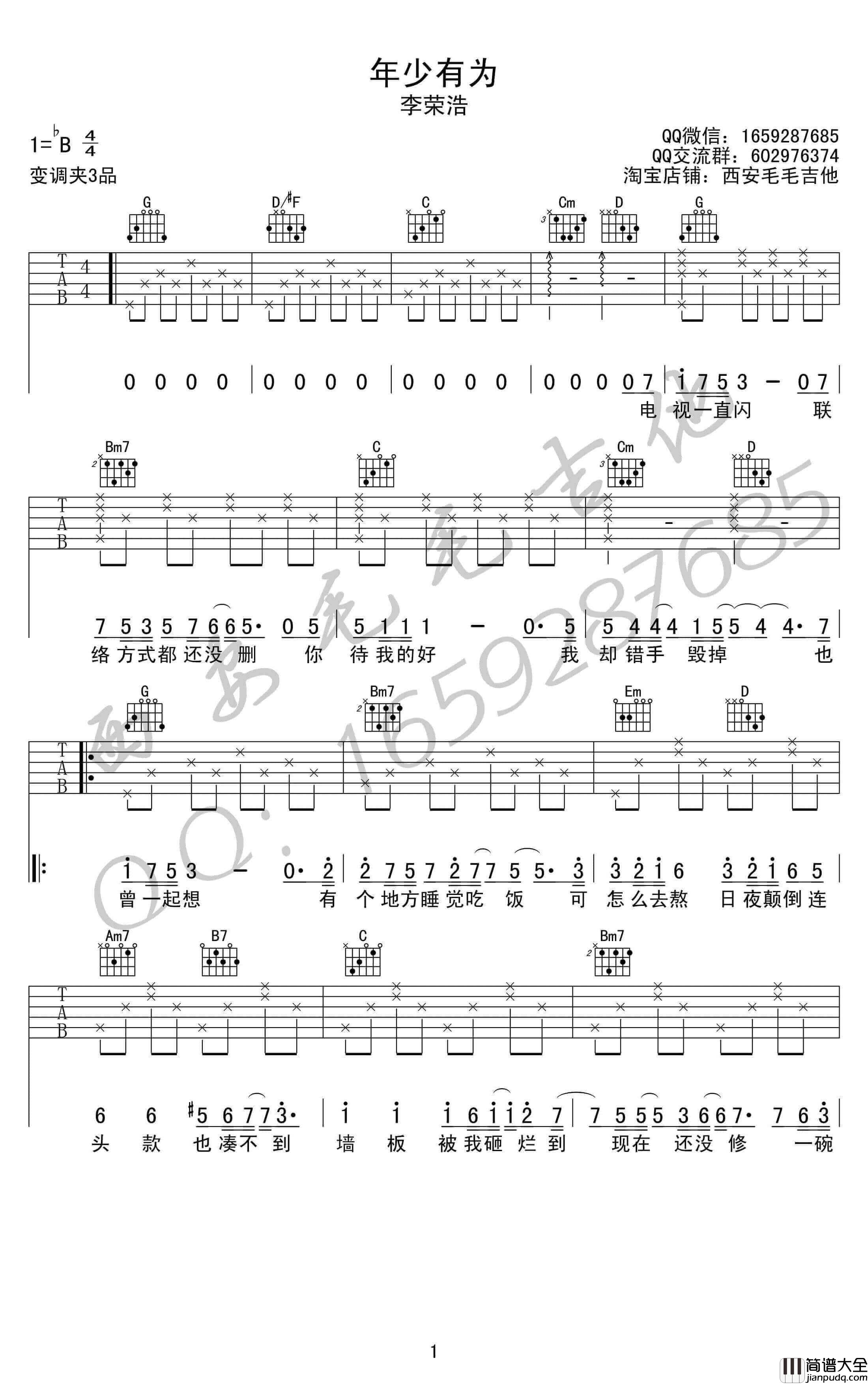年少有为吉他谱_G调简单版_毛毛吉他编配_李荣浩