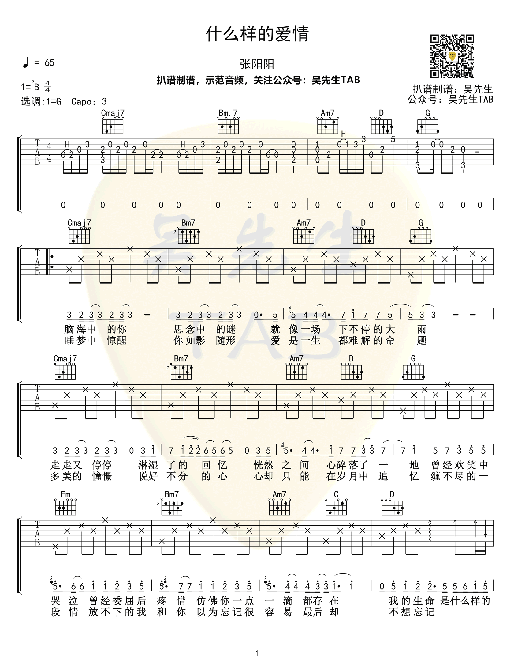 什么样的爱情吉他谱_张阳阳_G调_弹唱六线谱