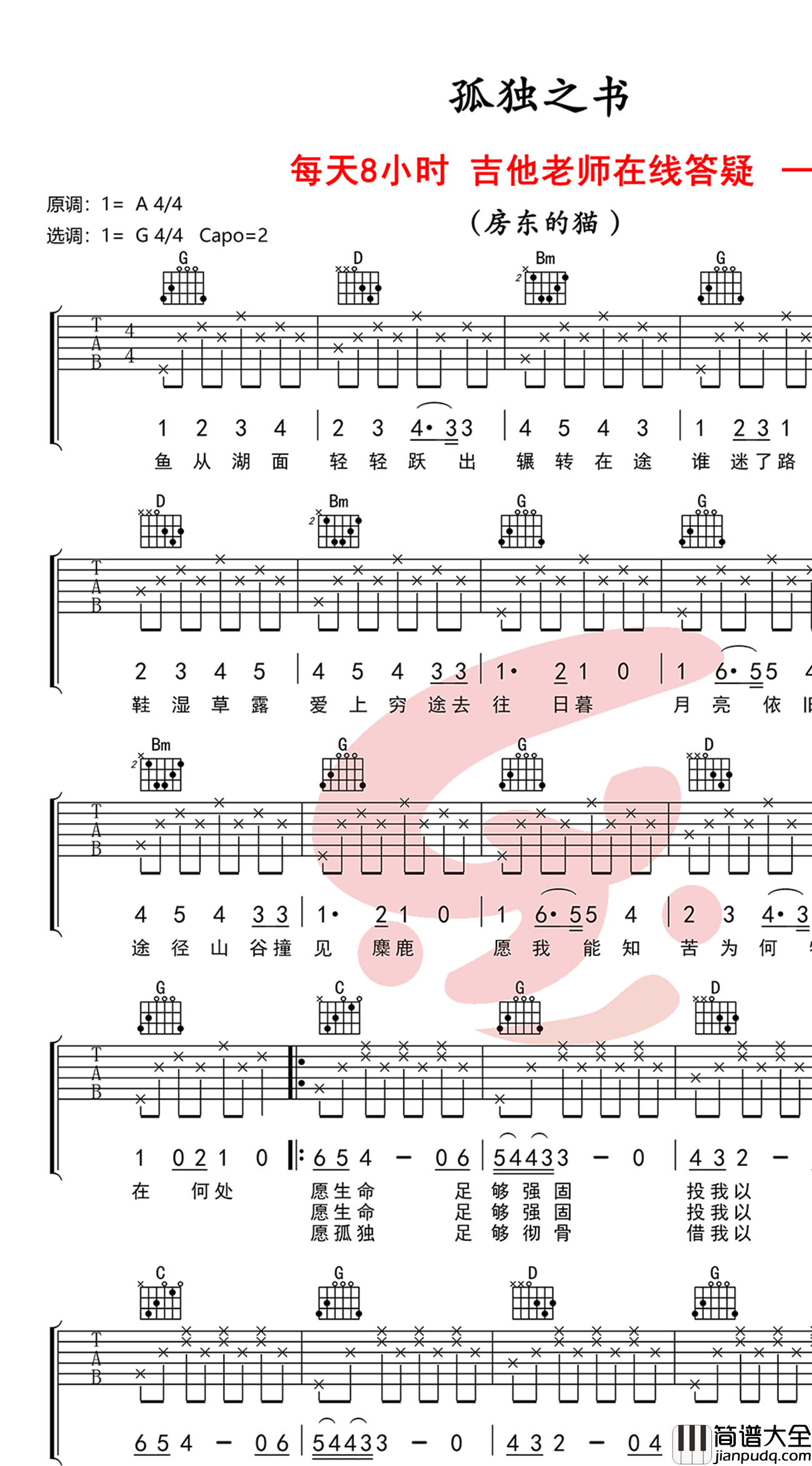 孤独之书吉他谱_房东的猫_G调_弹唱