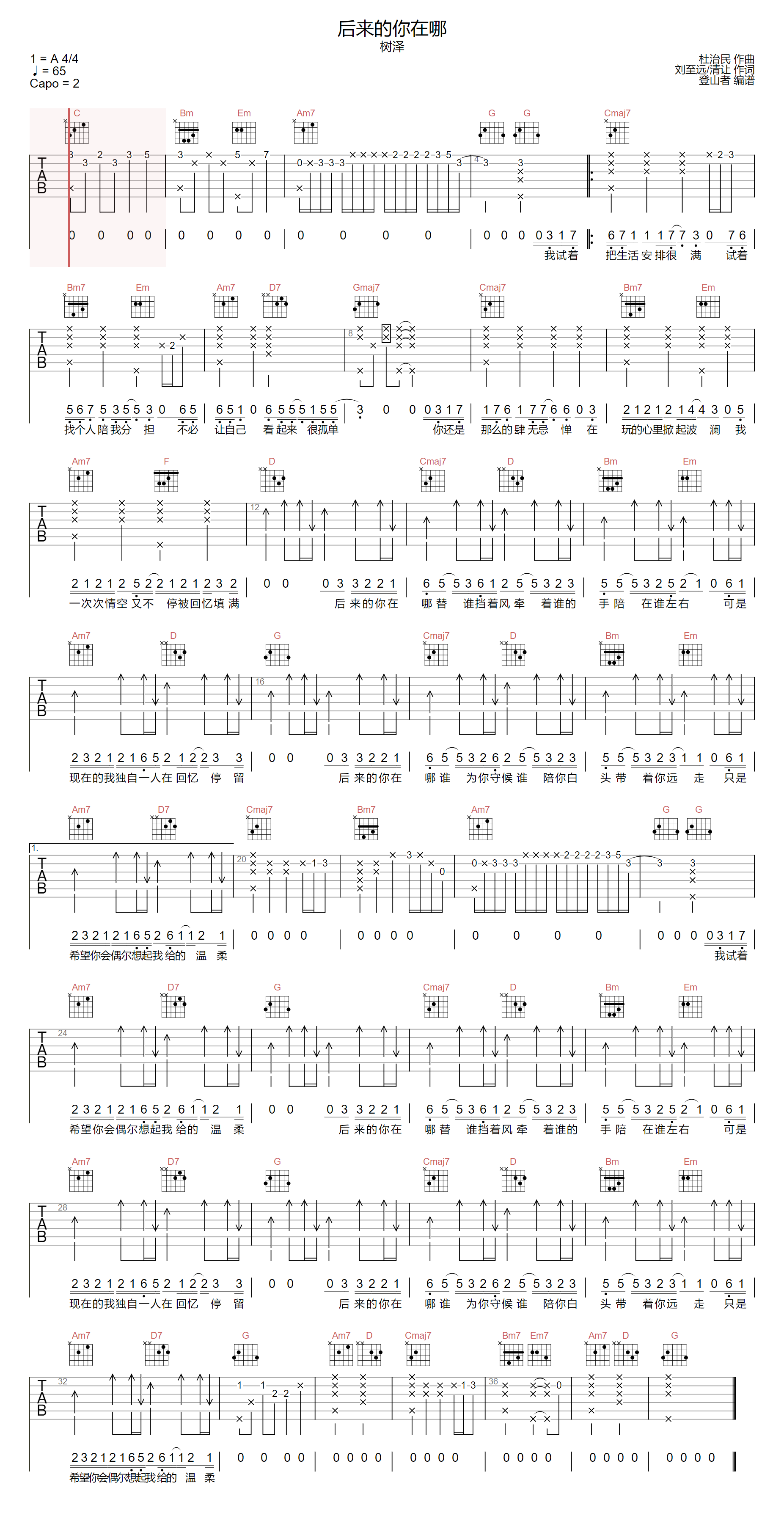 后来的你在哪吉他谱-树泽