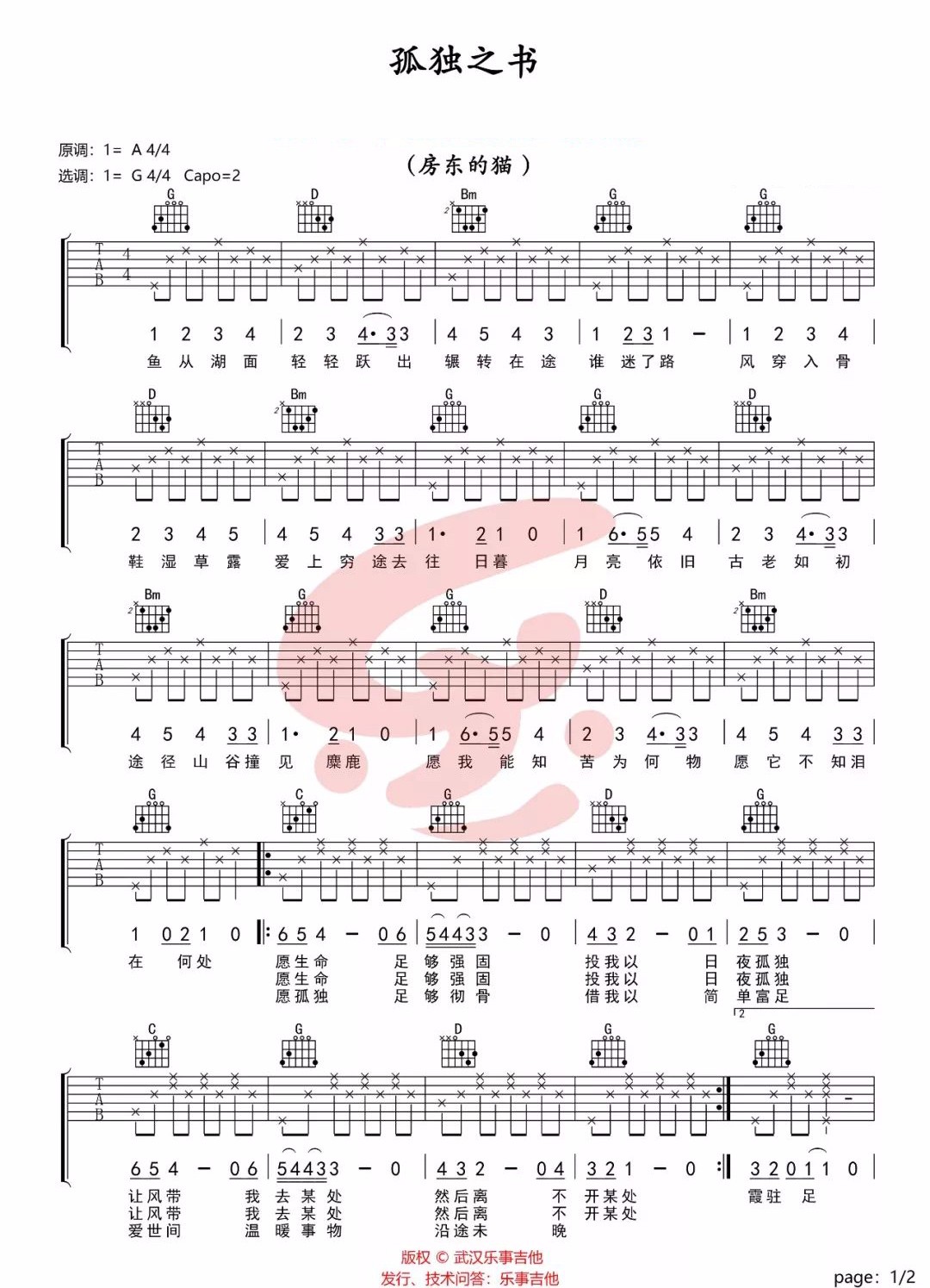 孤独之书吉他谱1-房东的猫