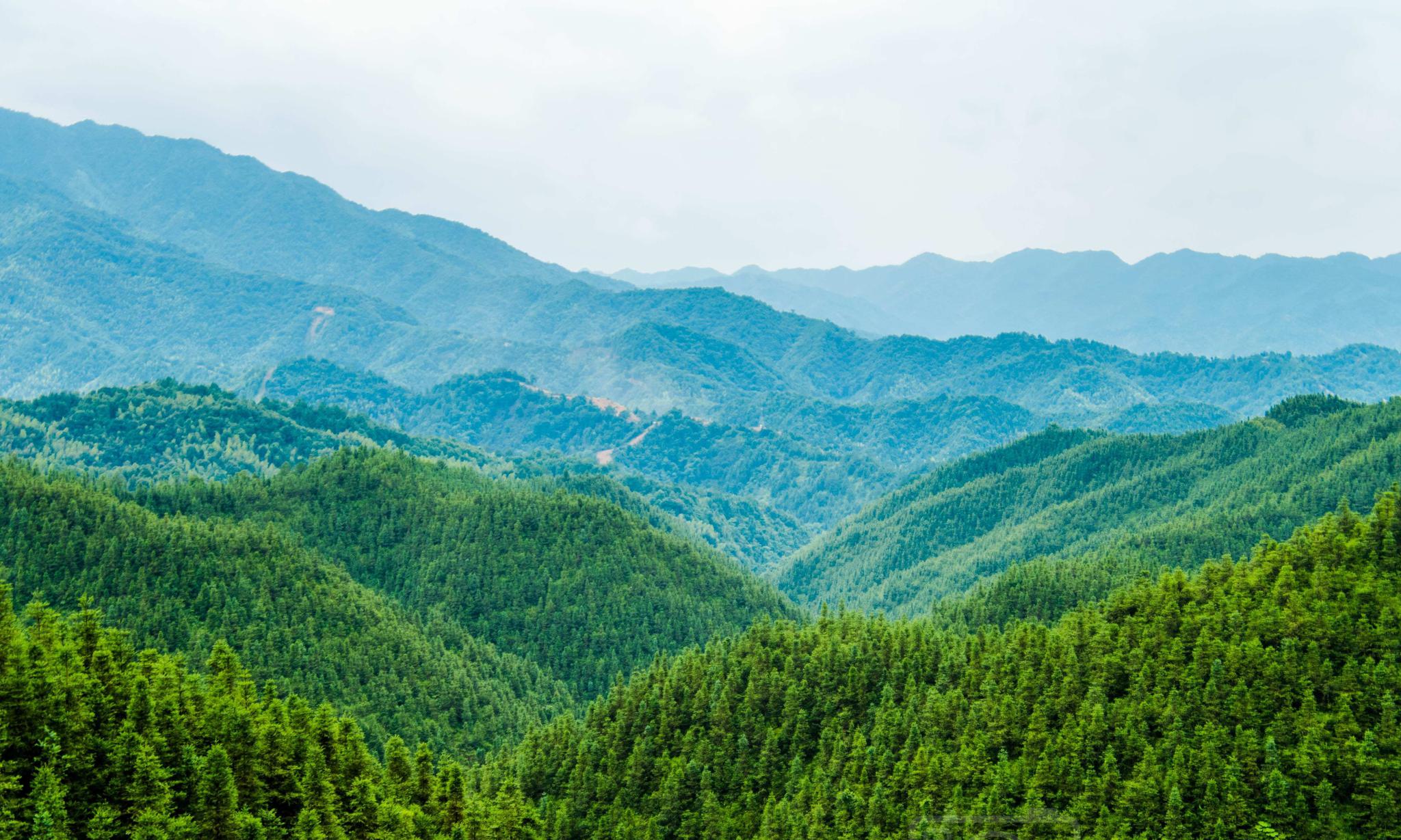 故乡青山多秀美简谱_吉他谱_钢琴谱_简谱
