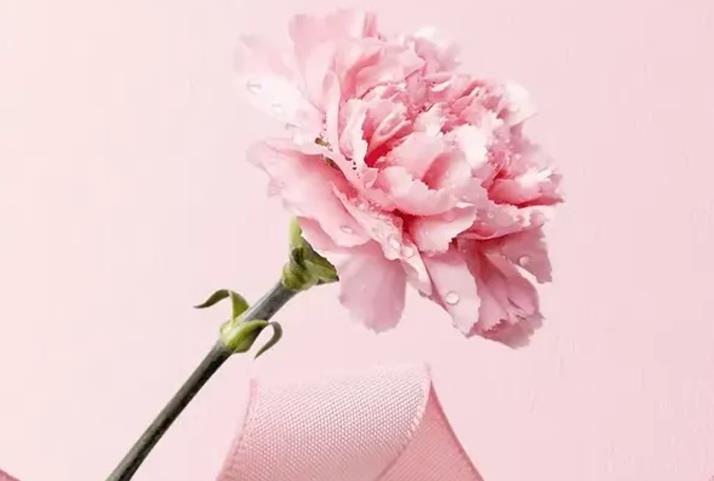 母爱是一首唱不够的歌简谱_乐声扬曲谱_吉他谱_钢琴谱_简谱