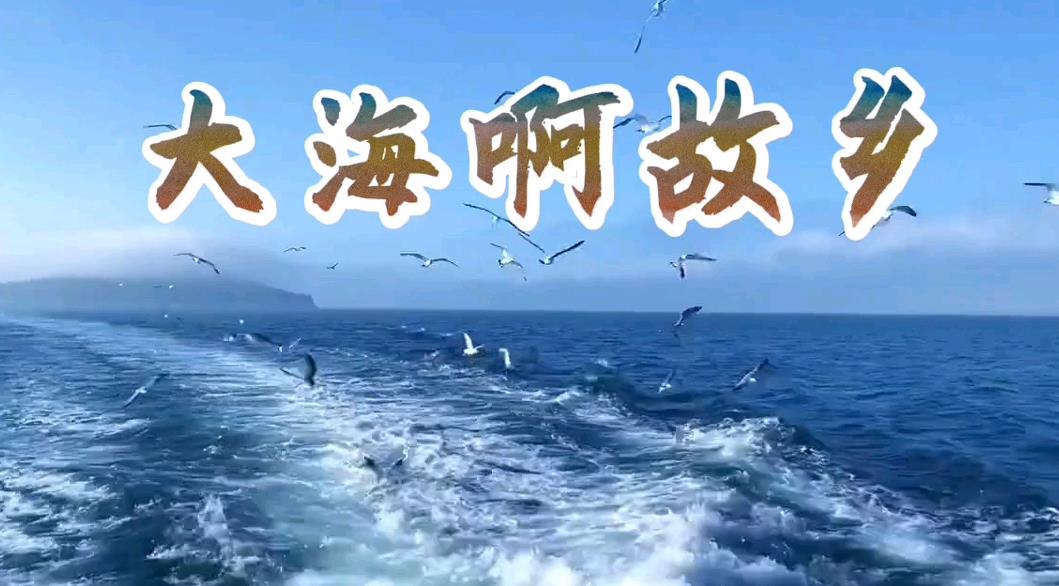 大海啊故乡-电影《大海在呼唤》主题歌