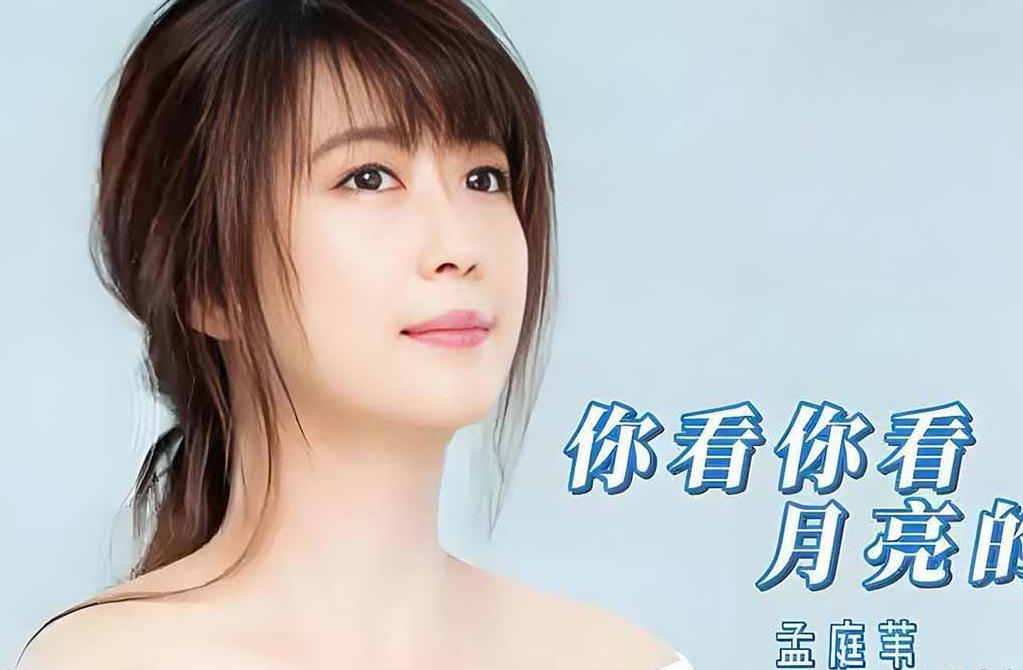 你看你看月亮的脸吉他谱_大头针_C调原版弹唱谱_图片六线谱