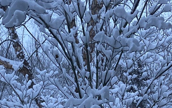 窗外下起雪吉他谱_LBI利比_C调原版弹唱谱_图片六线谱