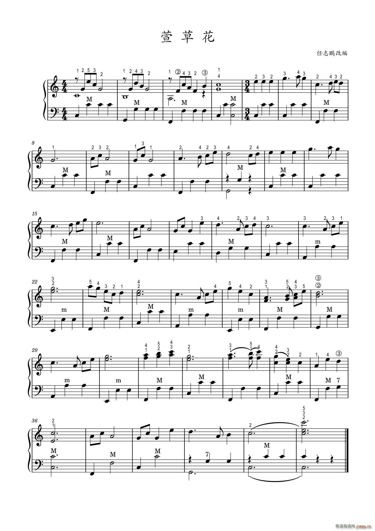 萱草花 手风琴 高清版(手风琴谱)1