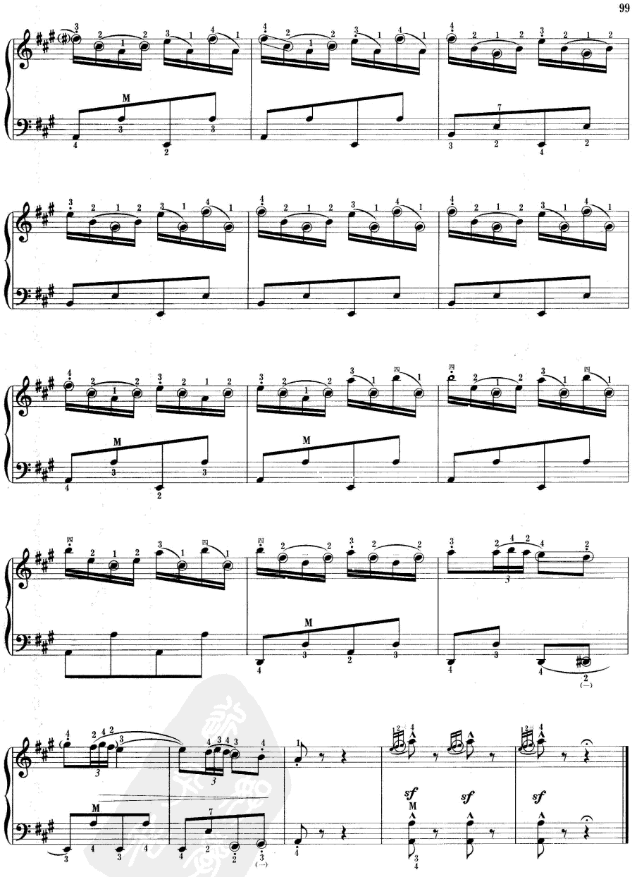 快乐的西班牙骑士(手风琴谱)7