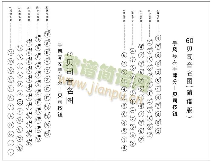 手风琴 贝司音名图(手风琴谱)3