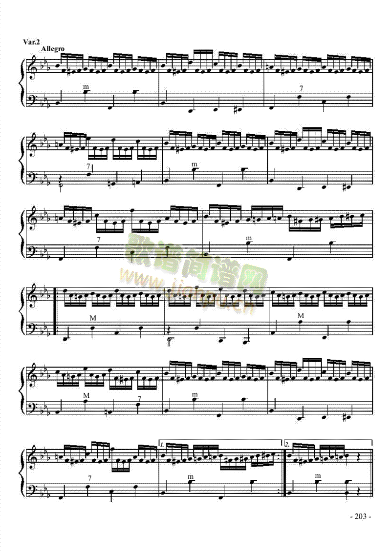 八级乐曲键盘类手风琴(手风琴谱)3