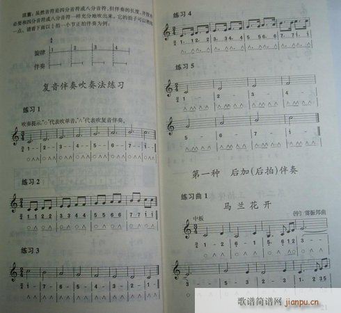 复音口琴简明教程(单簧管谱)1