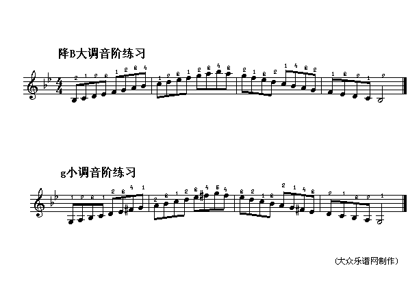 电子琴浅易练习六十八(十字及以上)1